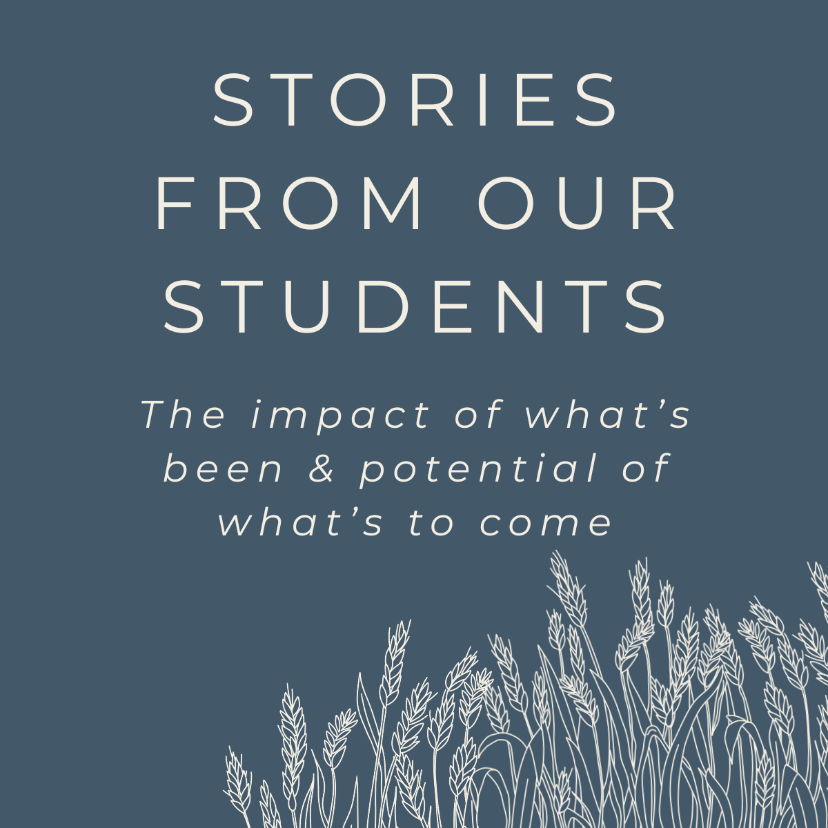 Hear from TH students