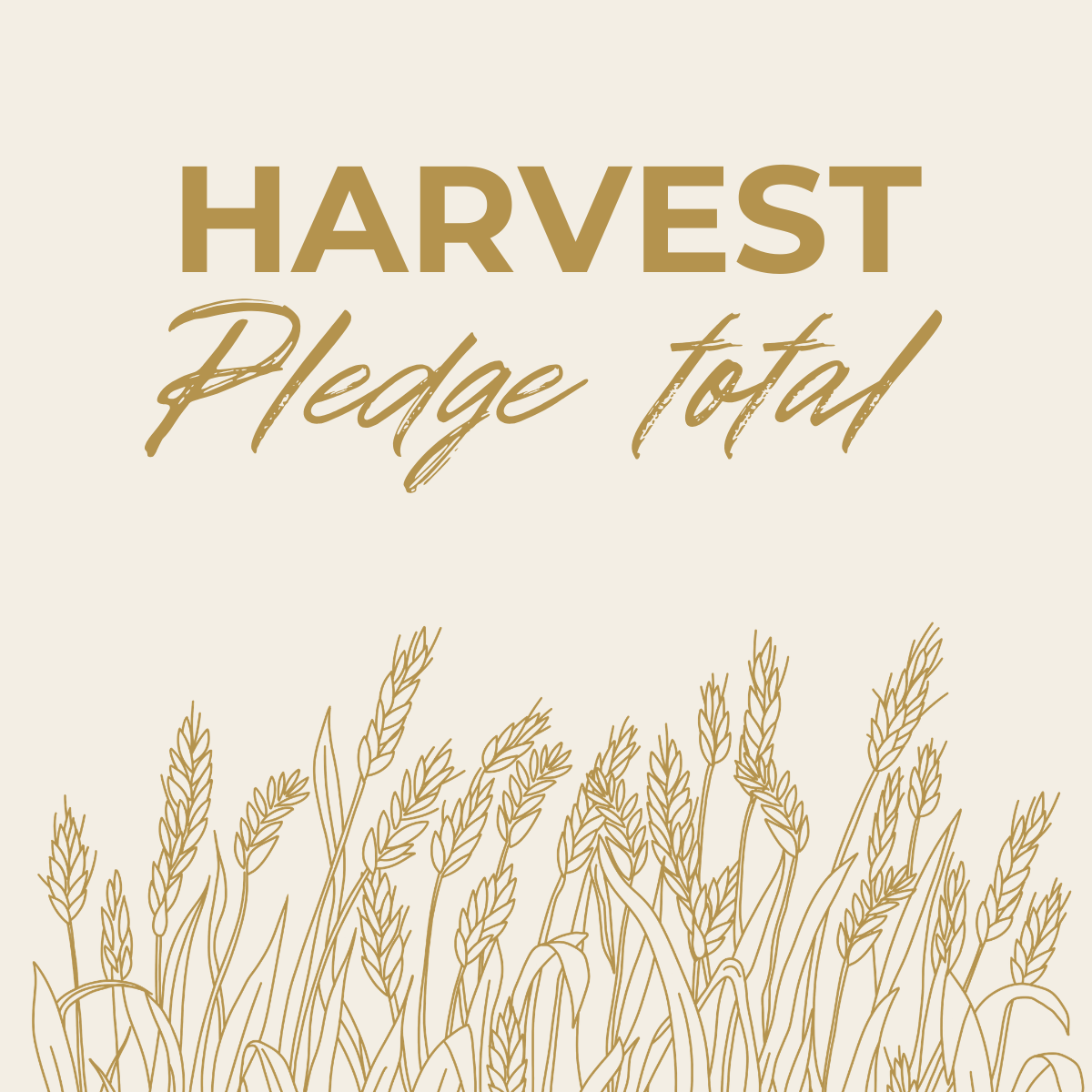 Pledge Total &amp; What’s Next