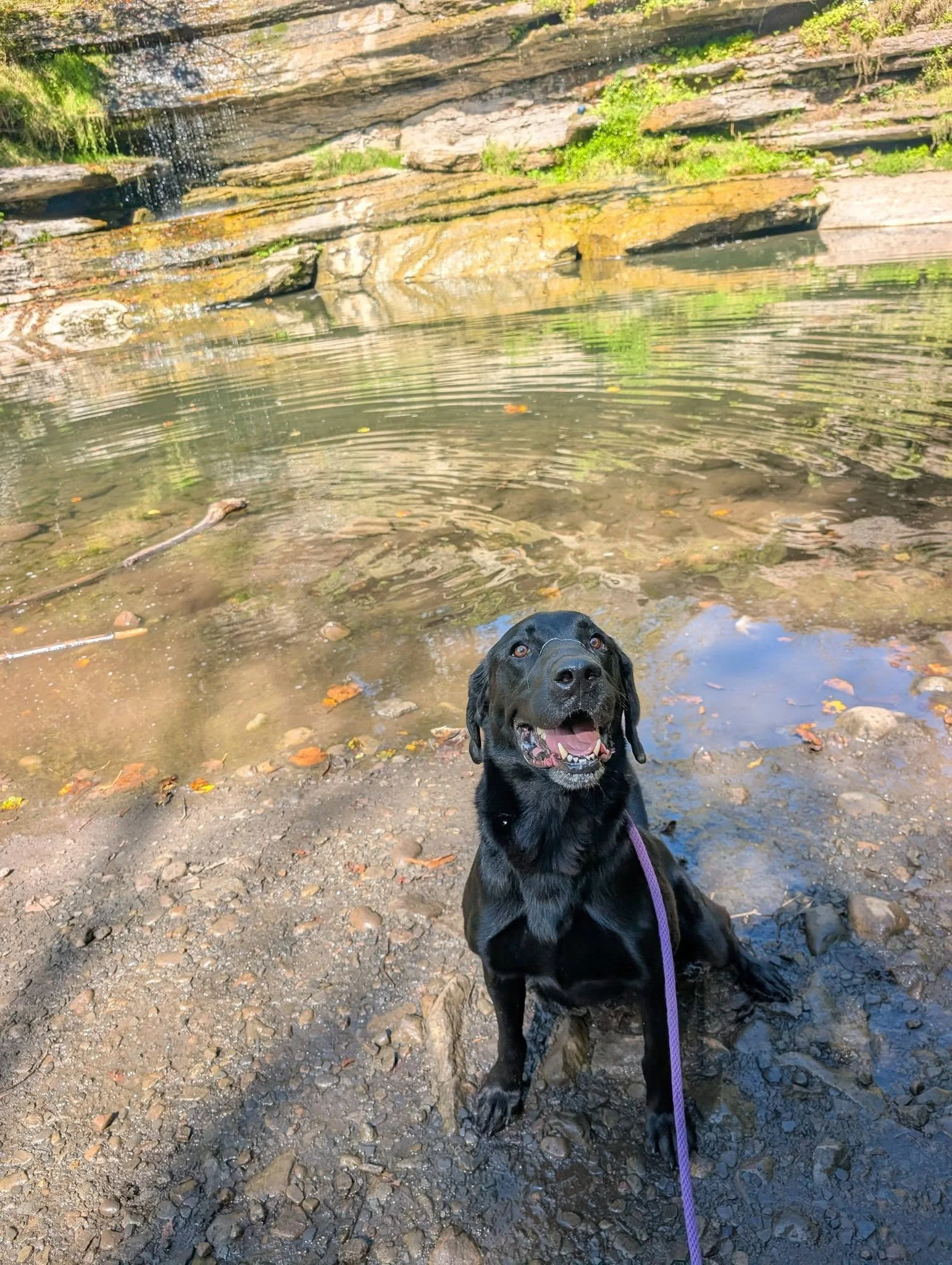 kobe pixley falls.jpg