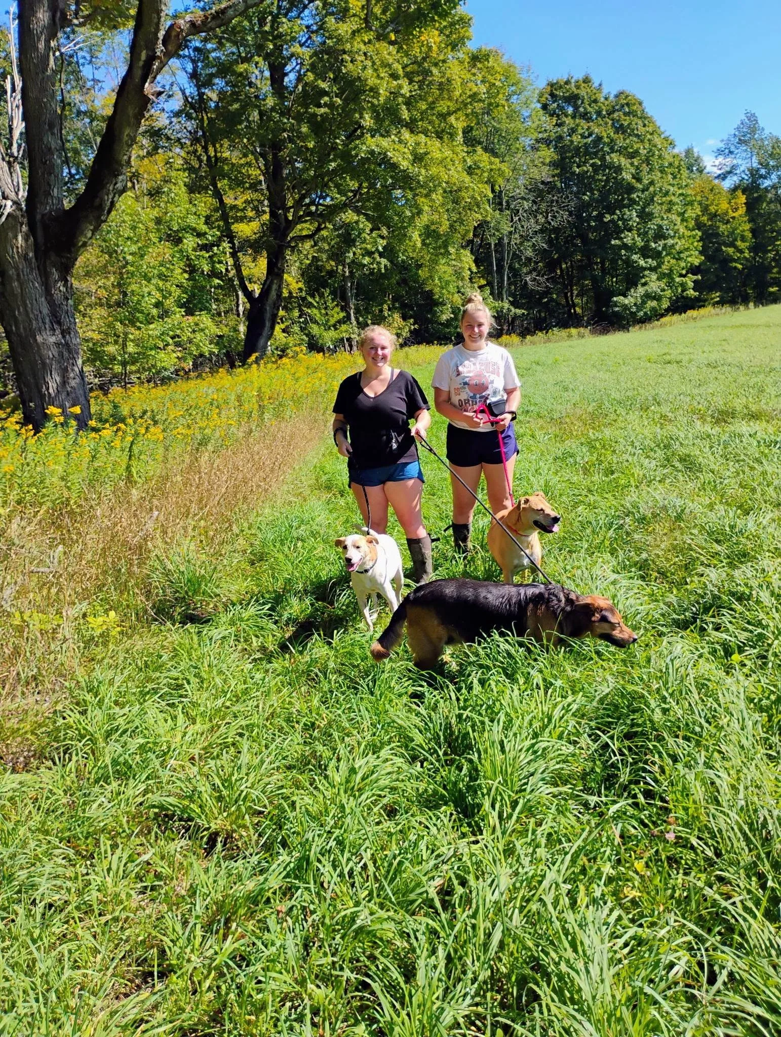 payne sister and office dogs.jpg