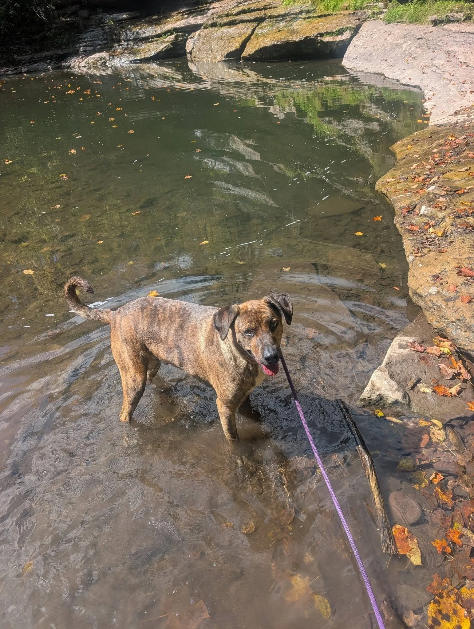 porter pixley falls.jpg