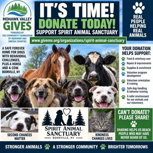 Mohawk Valley Gives