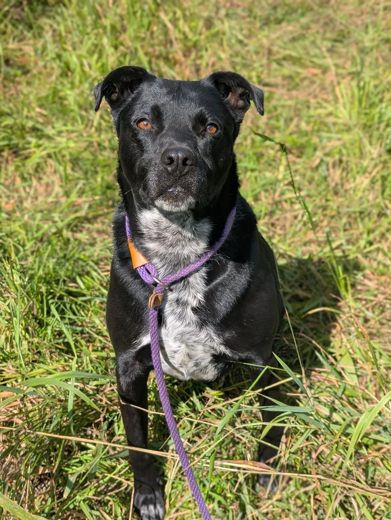 Riku