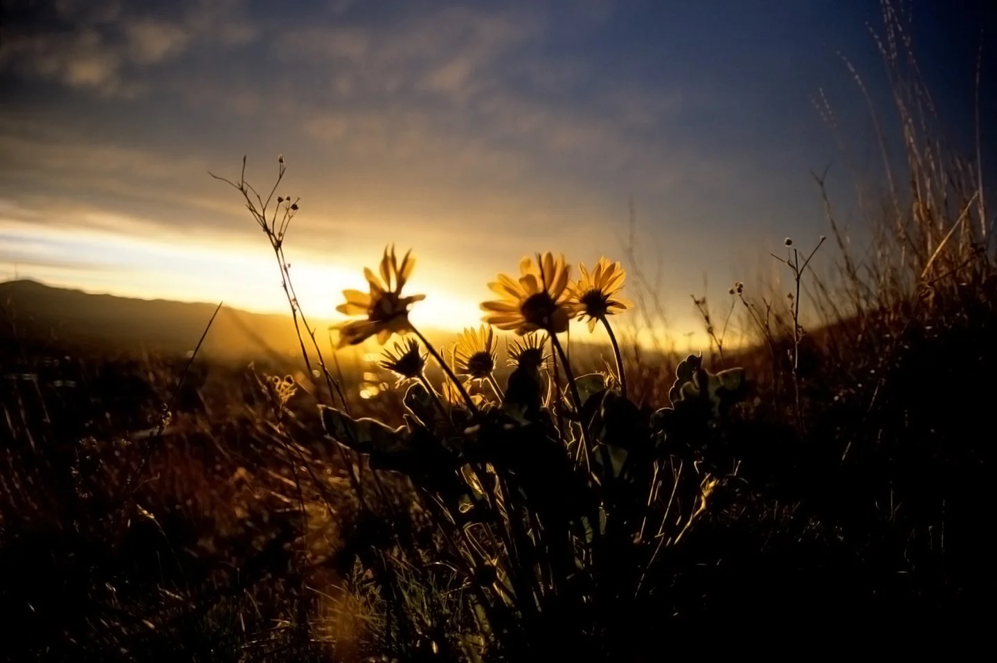 earthtones-8.jpg