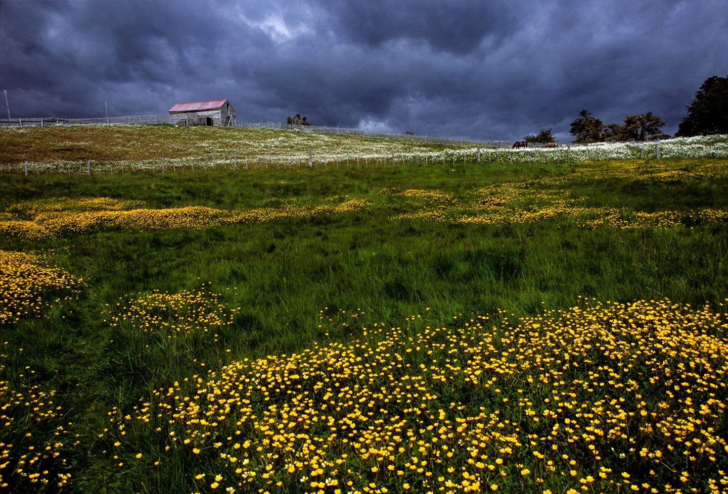 earthtones-3.jpg