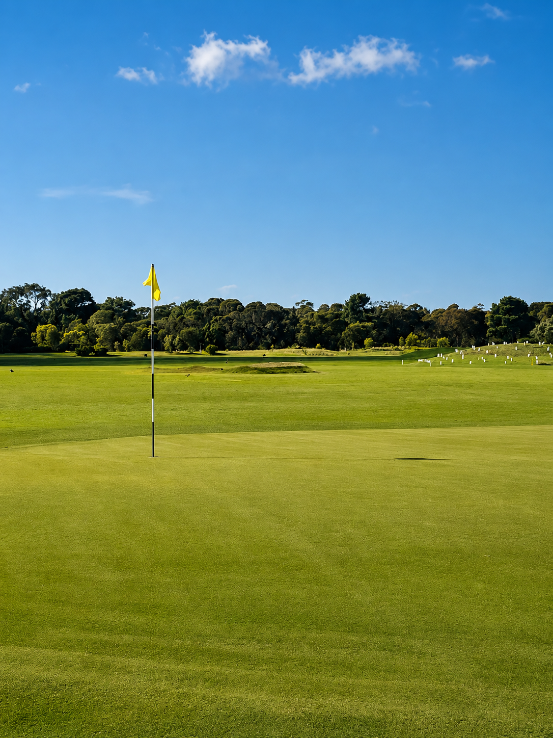 Dolphin Course - 7th Hole