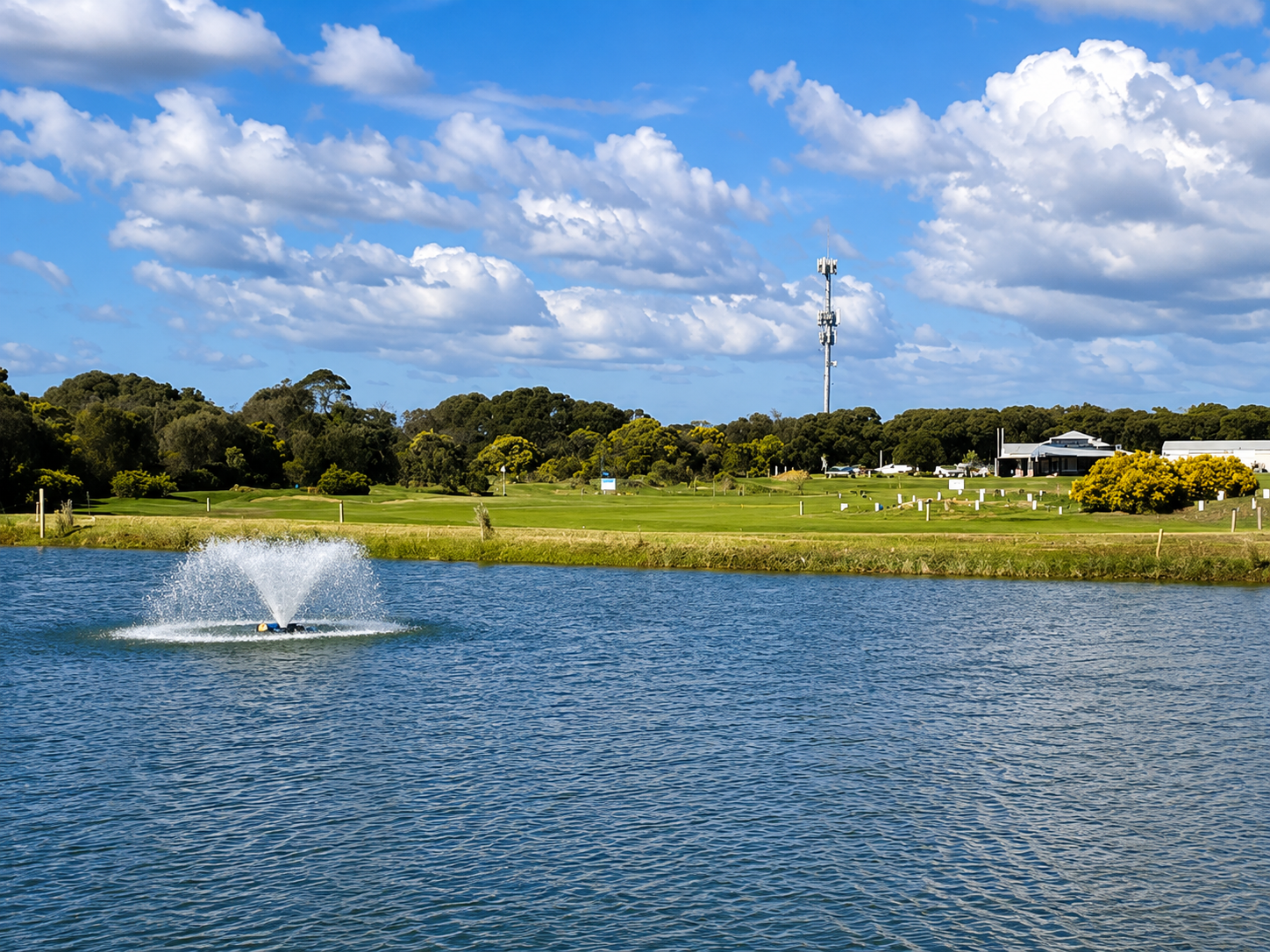 Dolphin Course - 6th Hole
