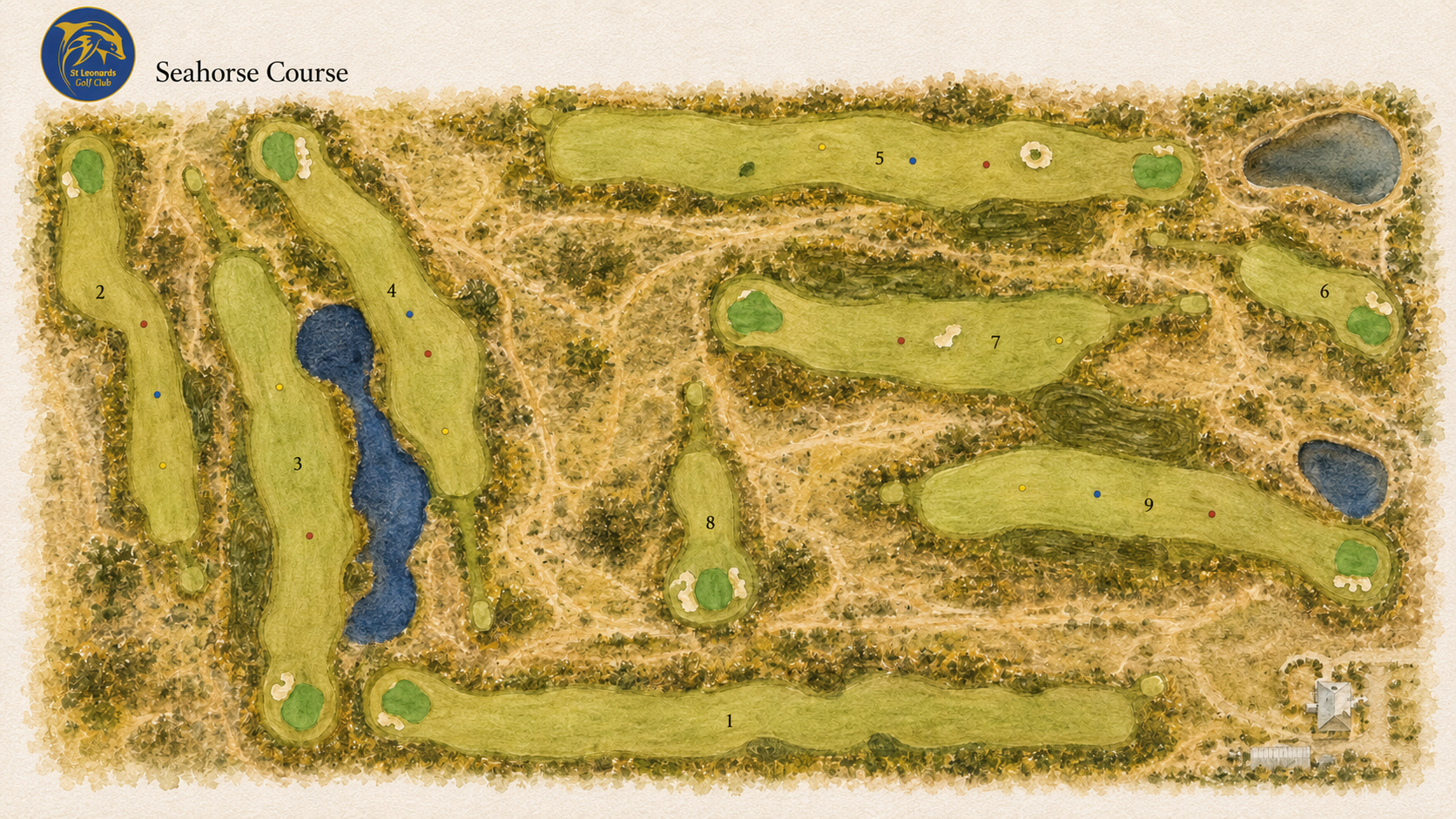 Seahorse Course - Layout