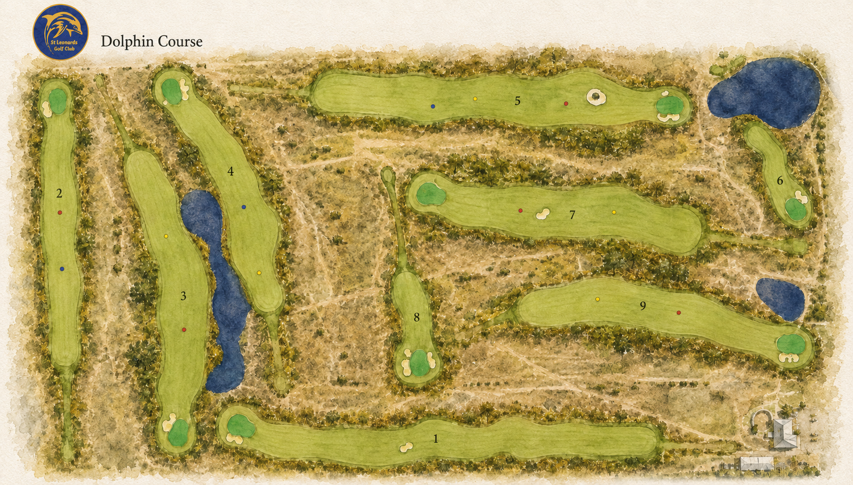 Dolphin Course