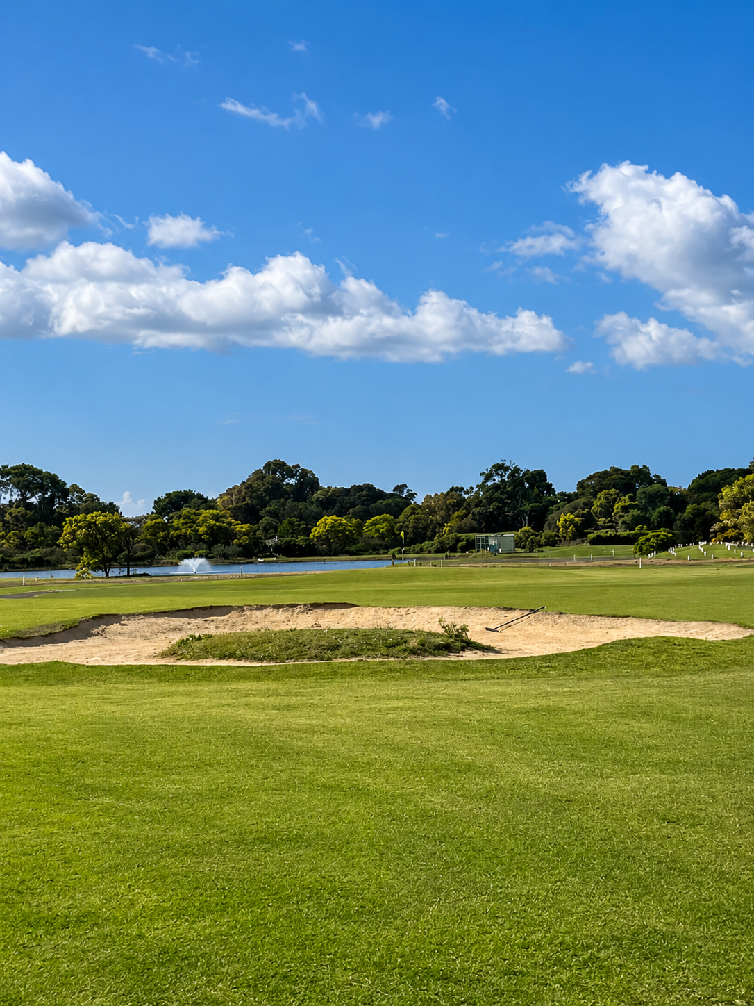 Dolphin Course - 5th Hole