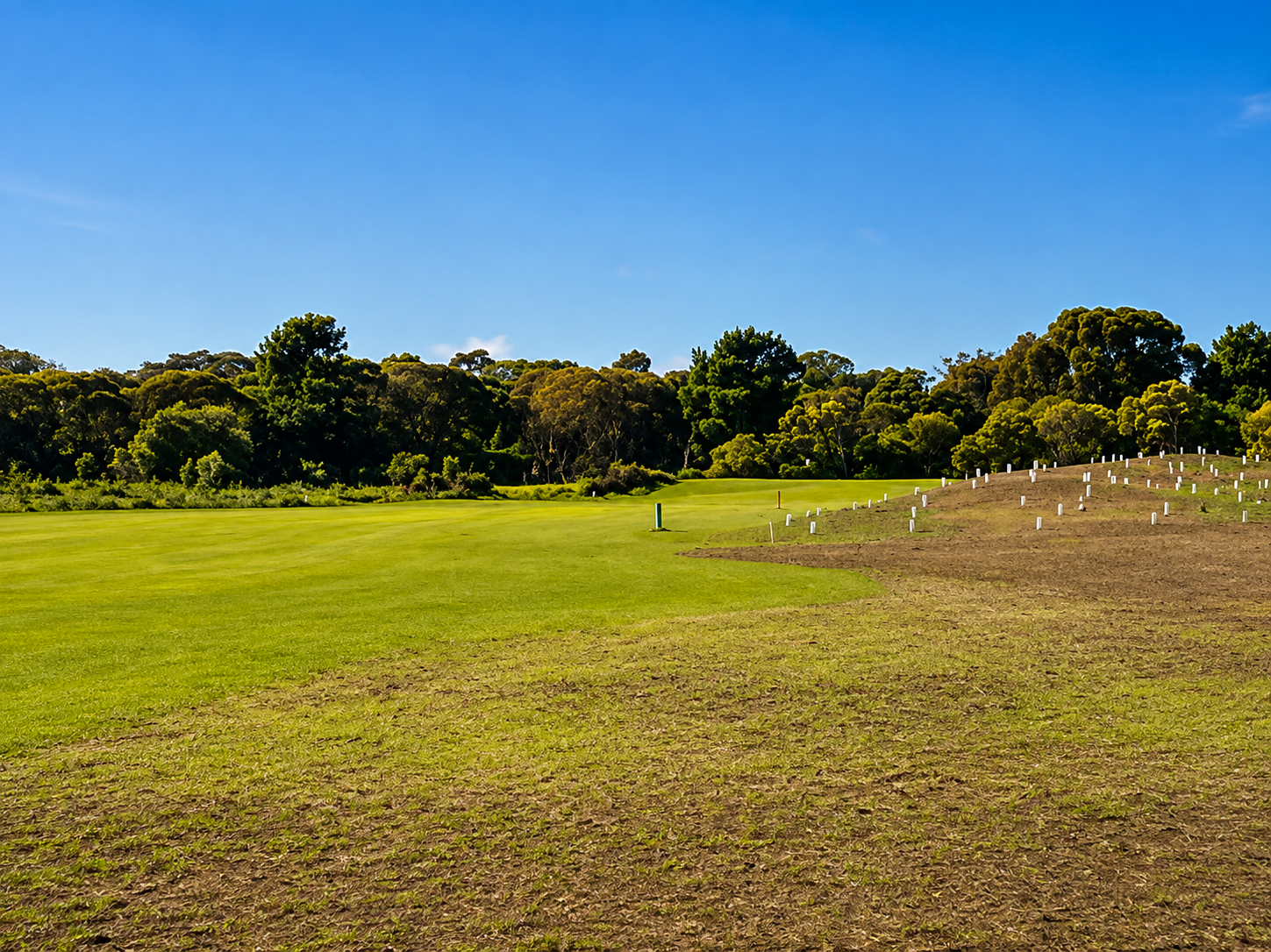 Dolphin Course - 9th Hole