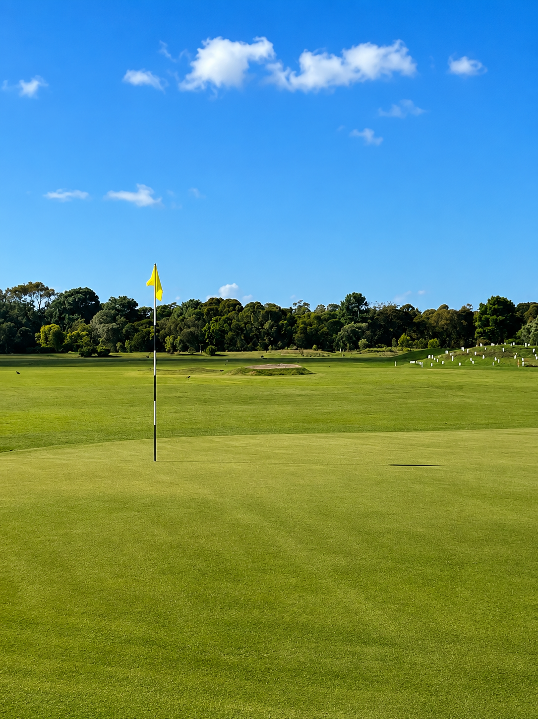 Seahorse Course - 7th Hole