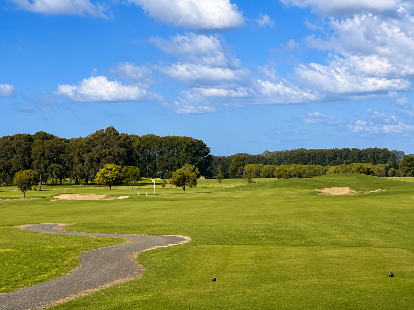 Dolphin Course - 8th Hole