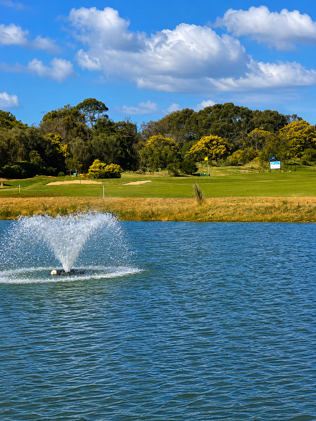 Pelican Course - 6th Hole