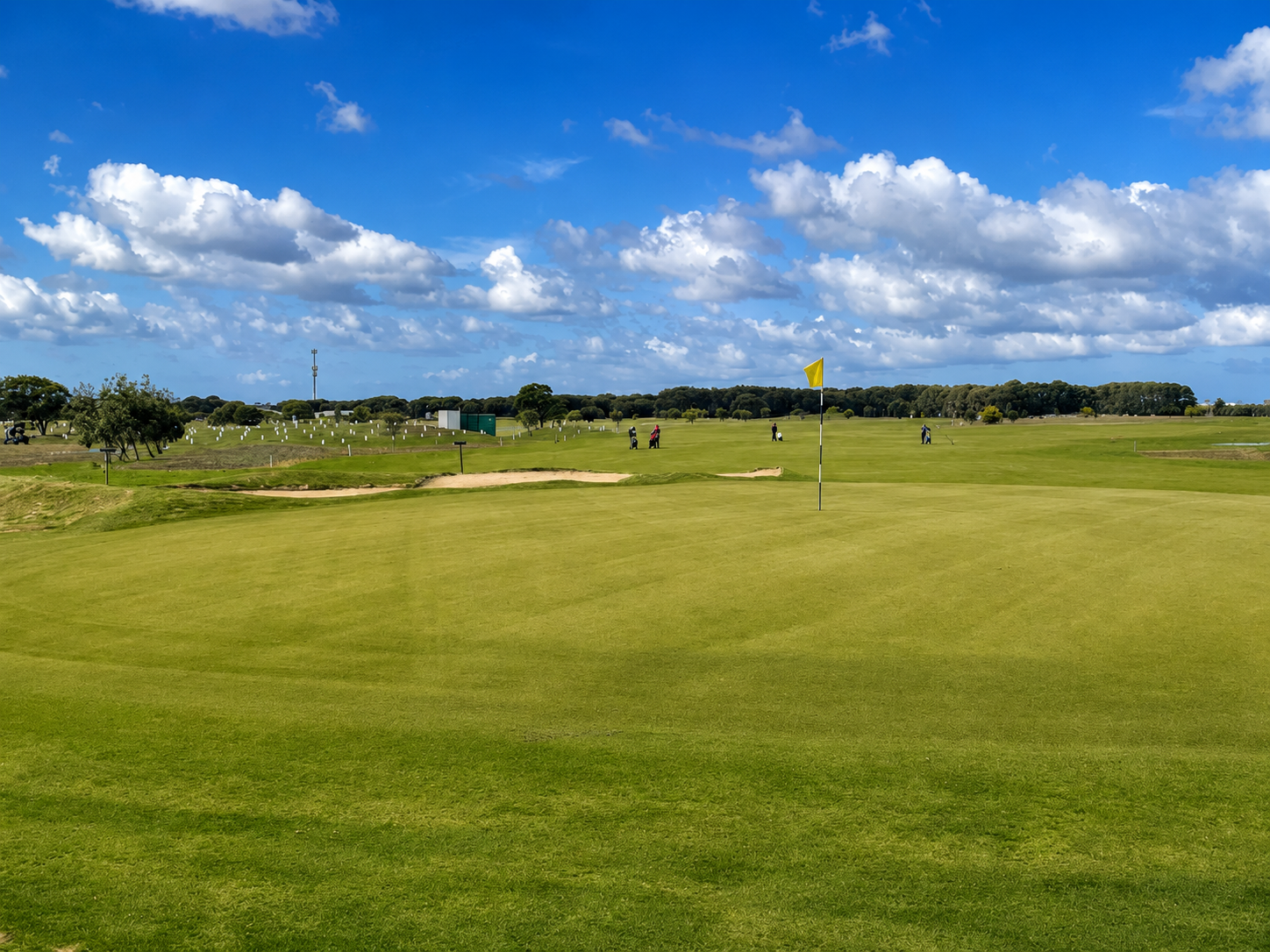 Dolphin Course - 4th Hole