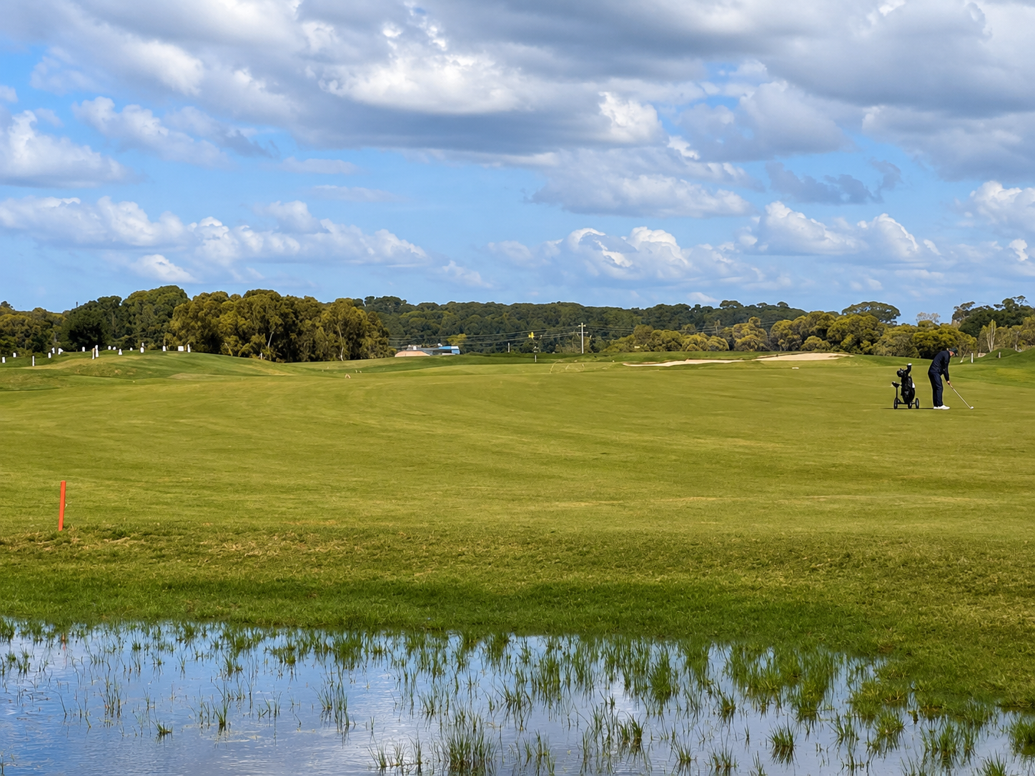 Dolphin Course - 3rd Hole