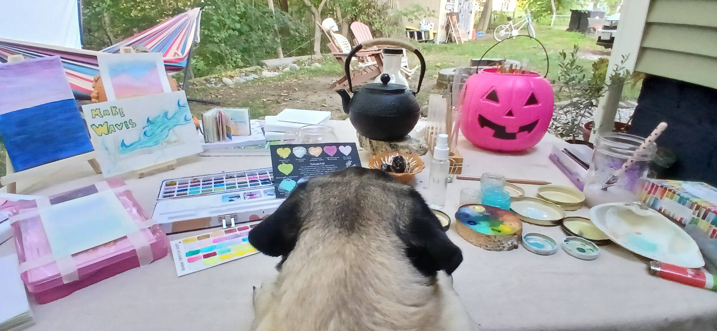 Vita's point of view ( paint set up in back yard - crafted for enjoyment)
