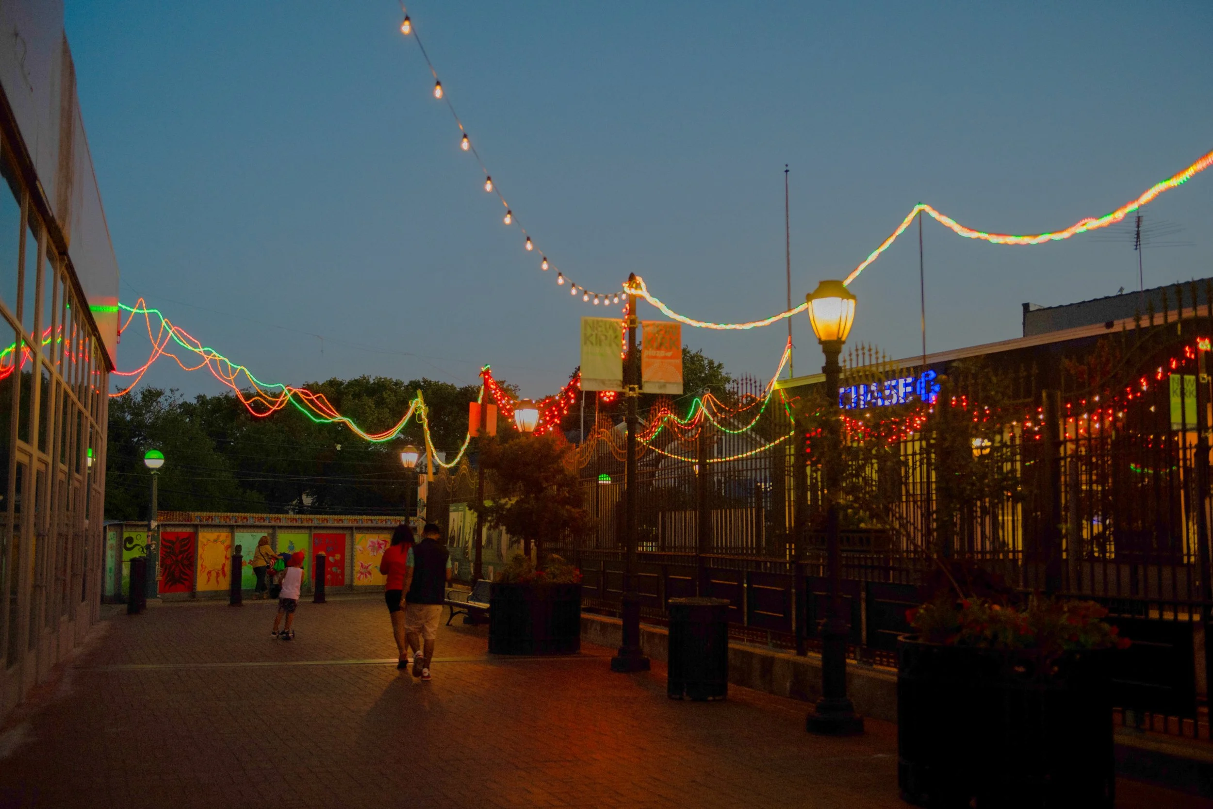 Urban Braids LSLP Photo02 by Crop Shop v3.JPG