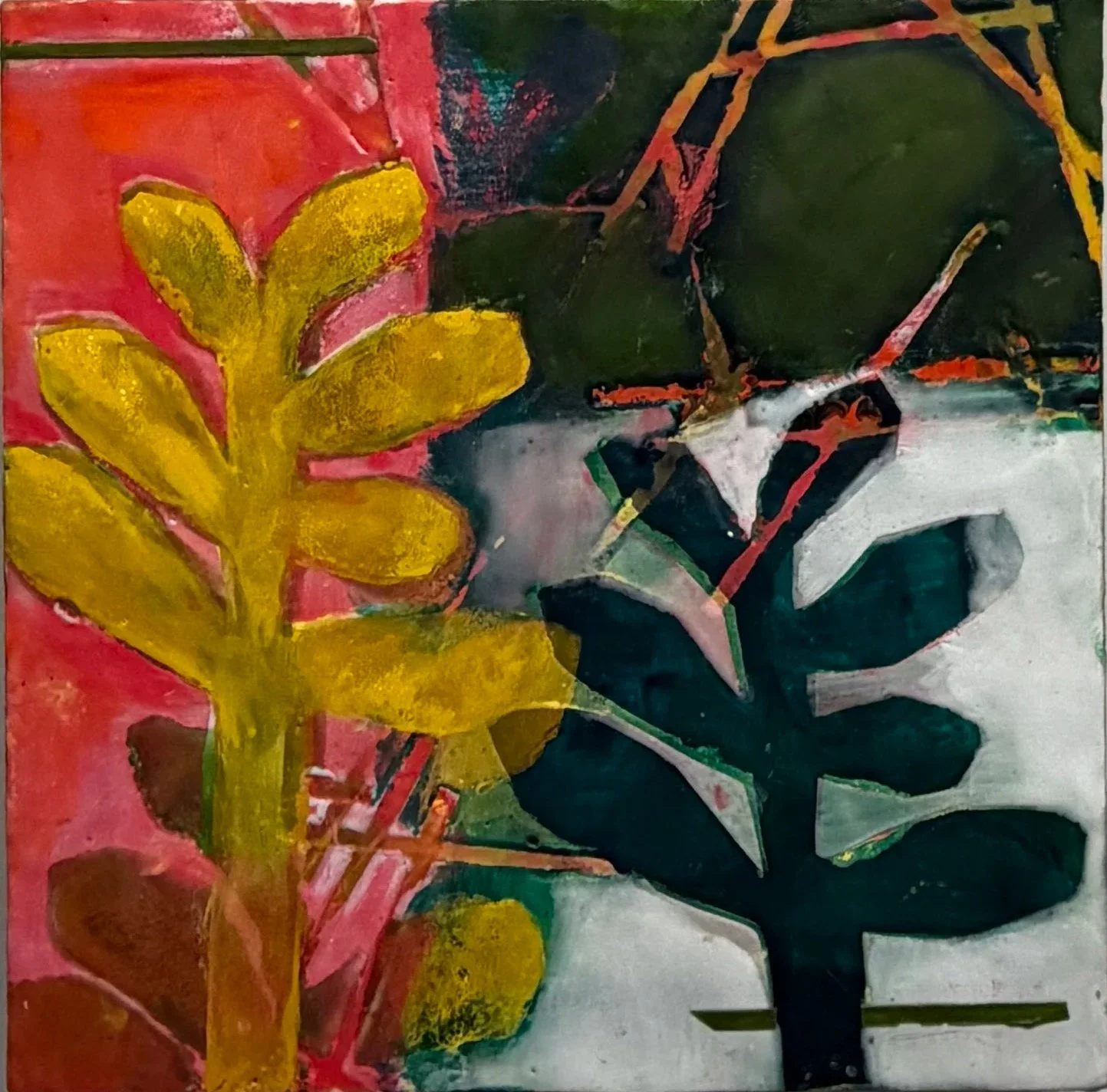 Forest Floor II