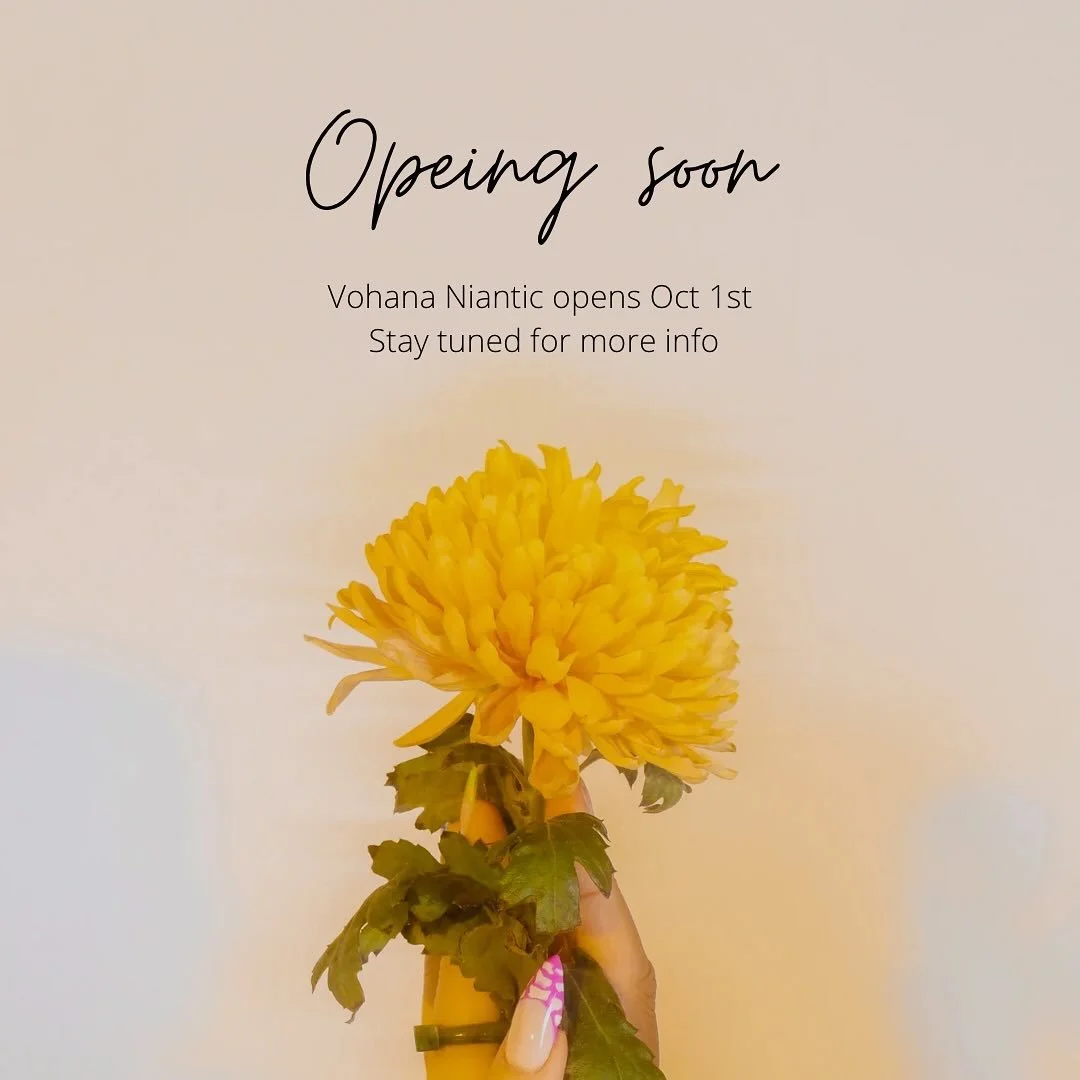 VOHANA Salon &amp; Shop opens in 1 week! Can&rsquo;t believe it&rsquo;s almost here! And can&rsquo;t wait to see you all there! 🤩 #nianticct #nianticctsalon #niantic #mainstreet #nianticstylist