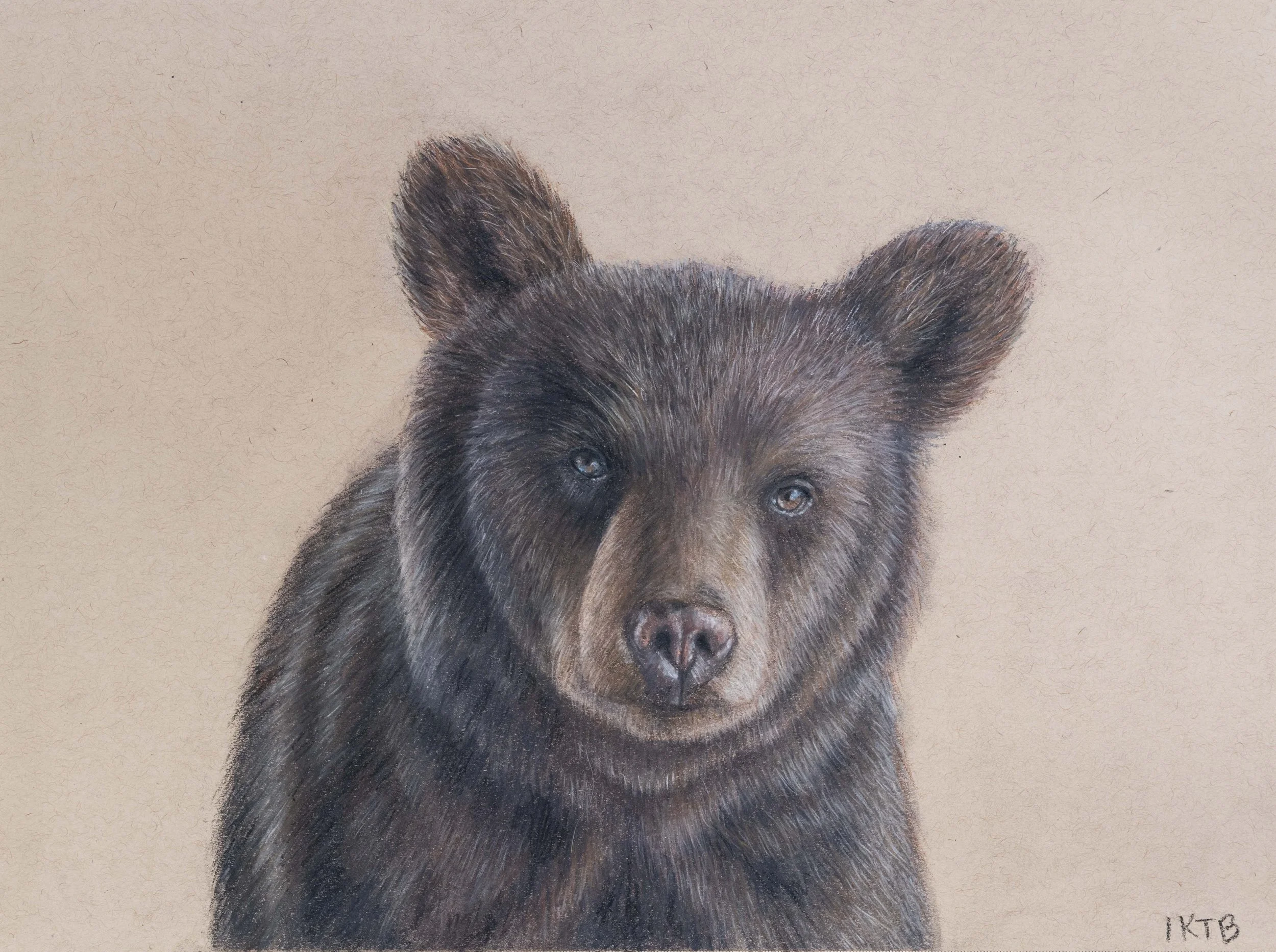 A realistic portrait of a bear cub with black fur, detailed eyes, and a neutral background.