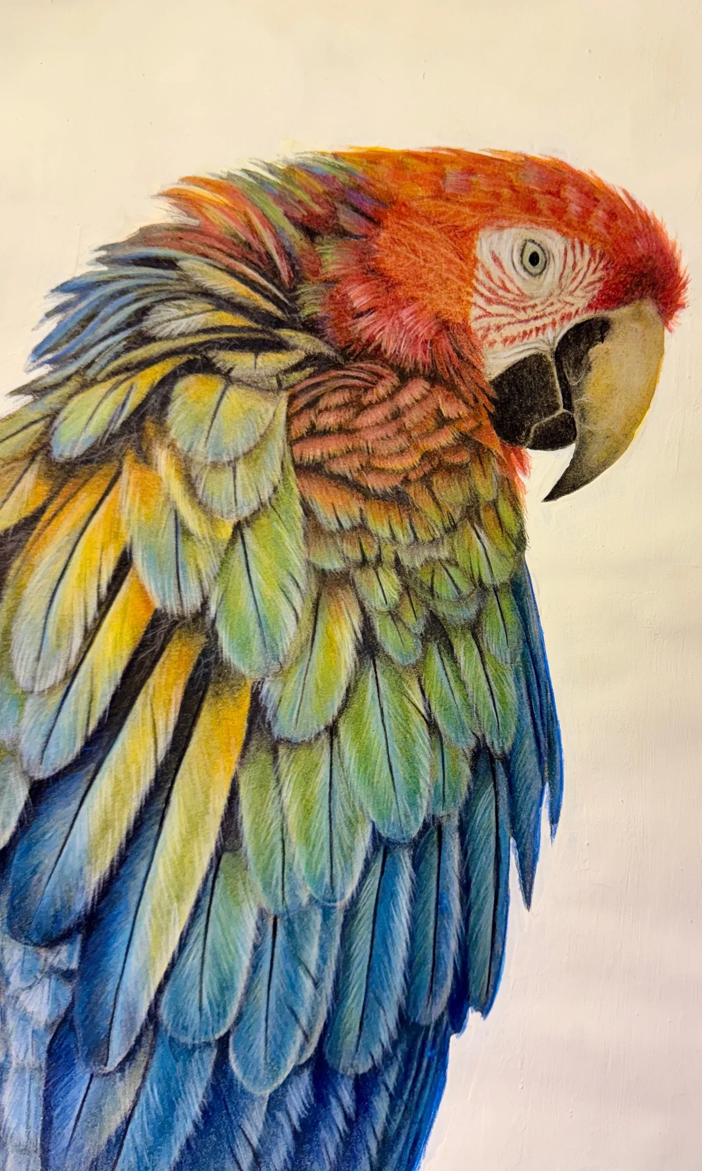 Ida Kristine Tuxen Art