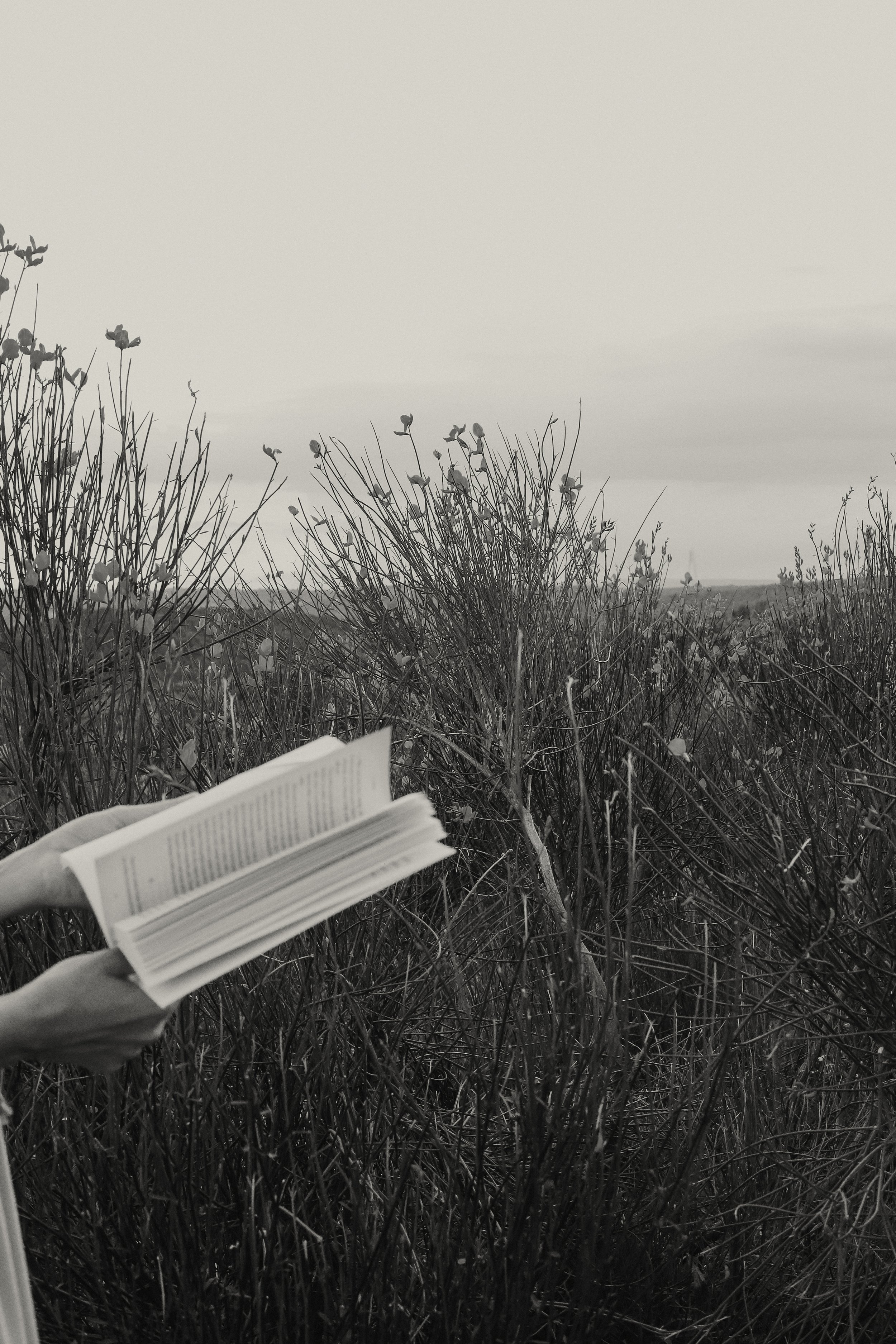 stressed sick articles