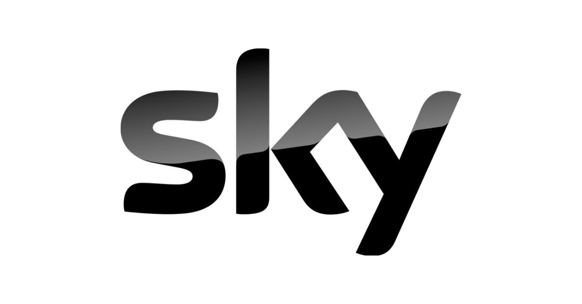 Stylized black and gray logo of the word 'sky' on a white background.