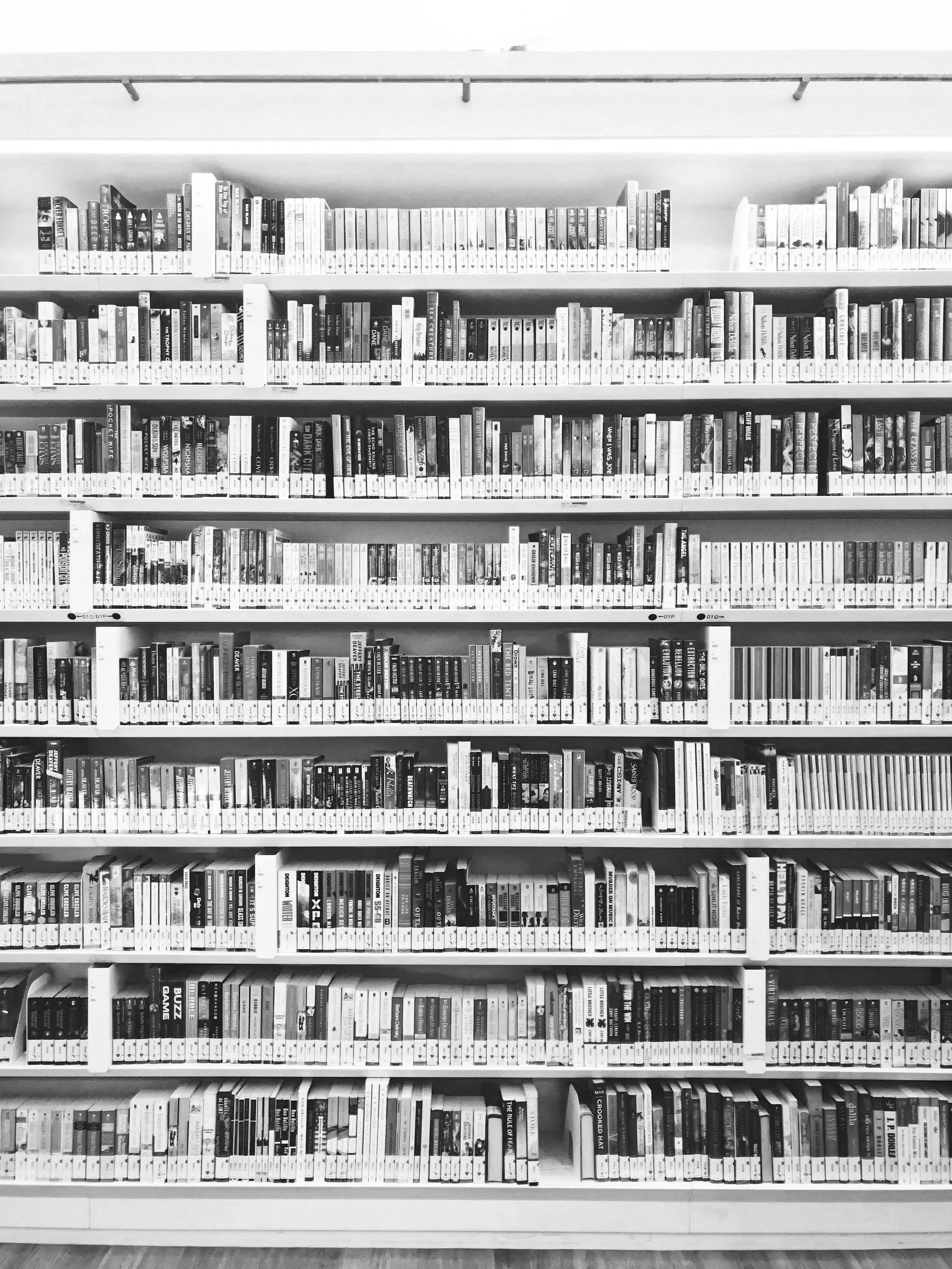 Bookshelf with books