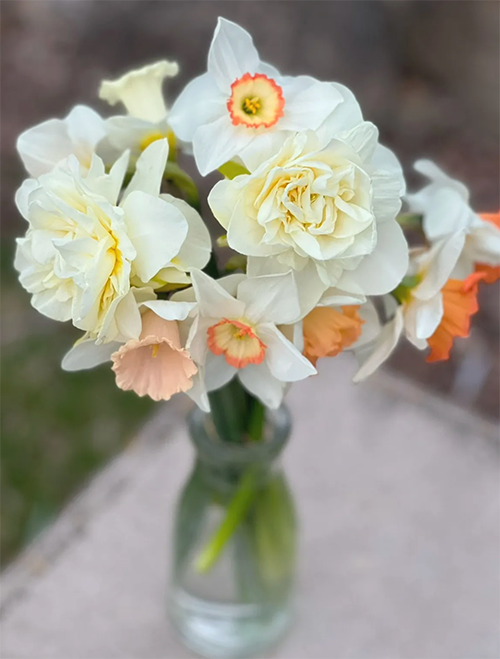 Things That Make You Rich (Part 1: Flowers)