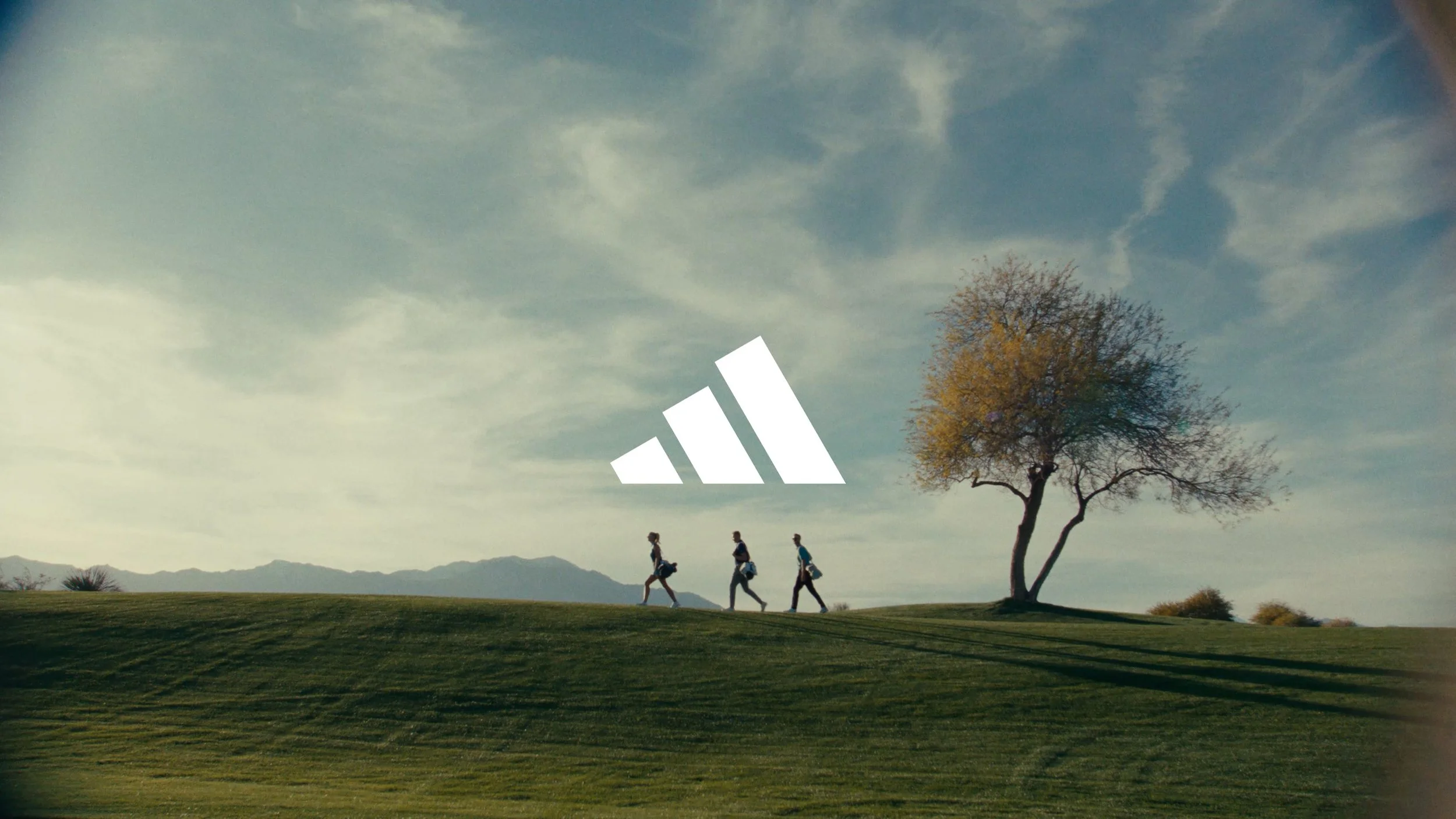 mailchimp still 6.JPG