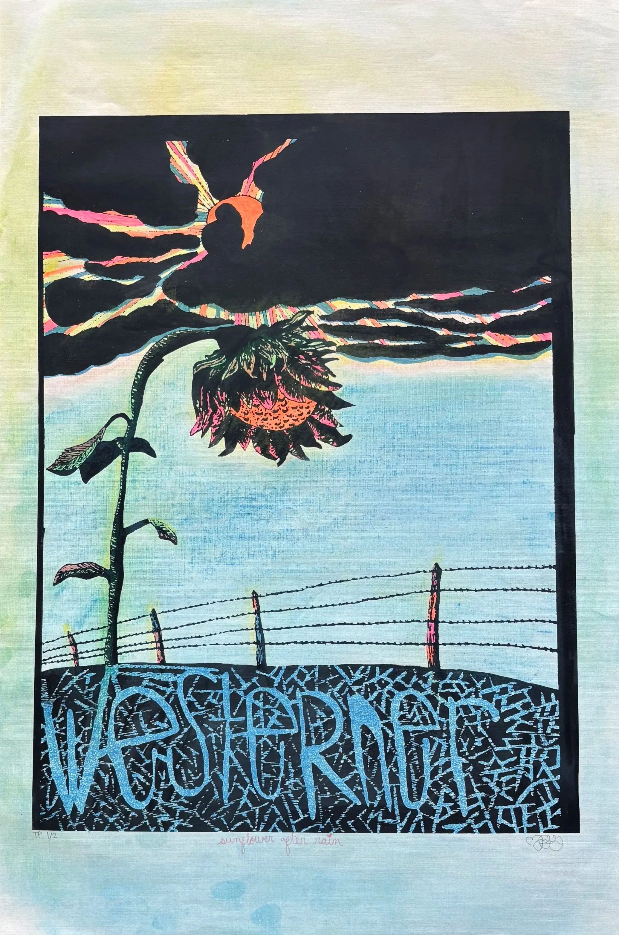 a sunflower at a neon sunset soaking up rain