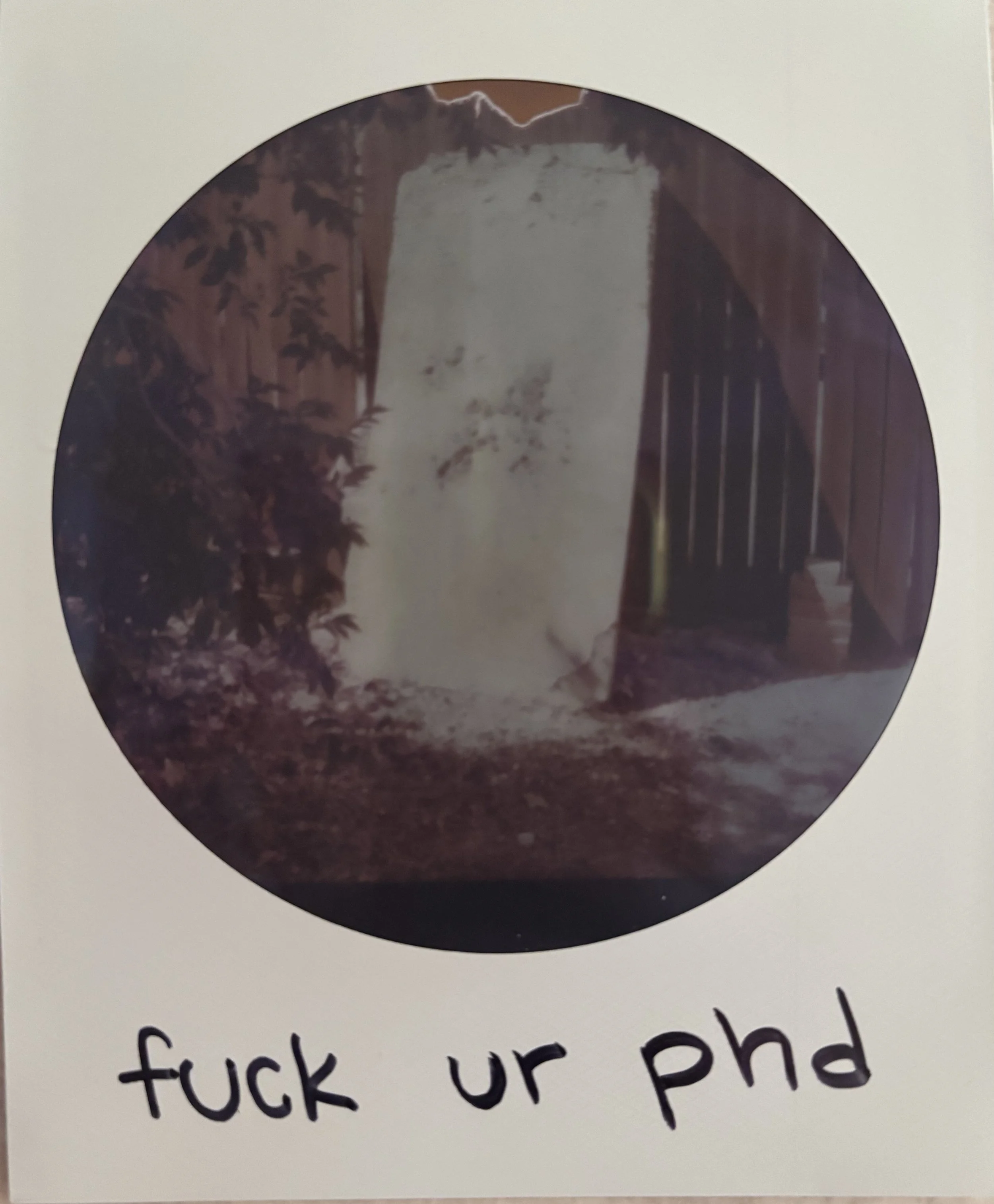 circular polaroid image of a large rectangular desk decaying against the back fence wall, behins some trees, next to some in progress fence sculptures.