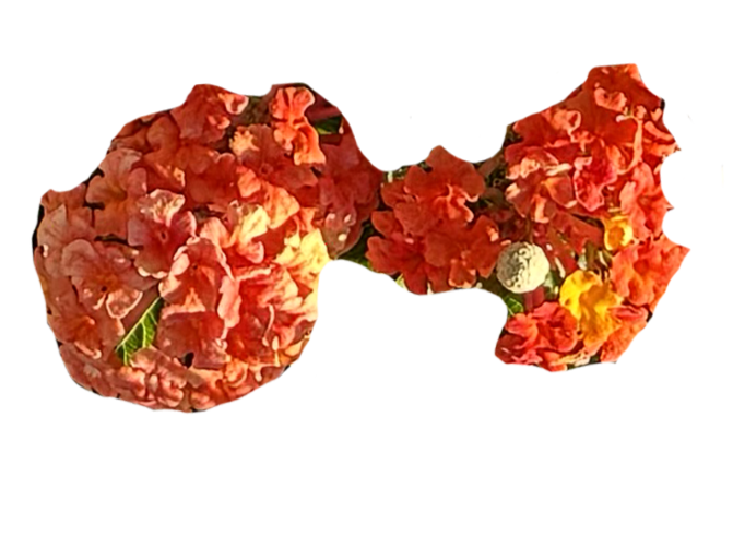 some orange flowers of varying shades shaped in a boquet kinda like a bike horn thats facing the video
