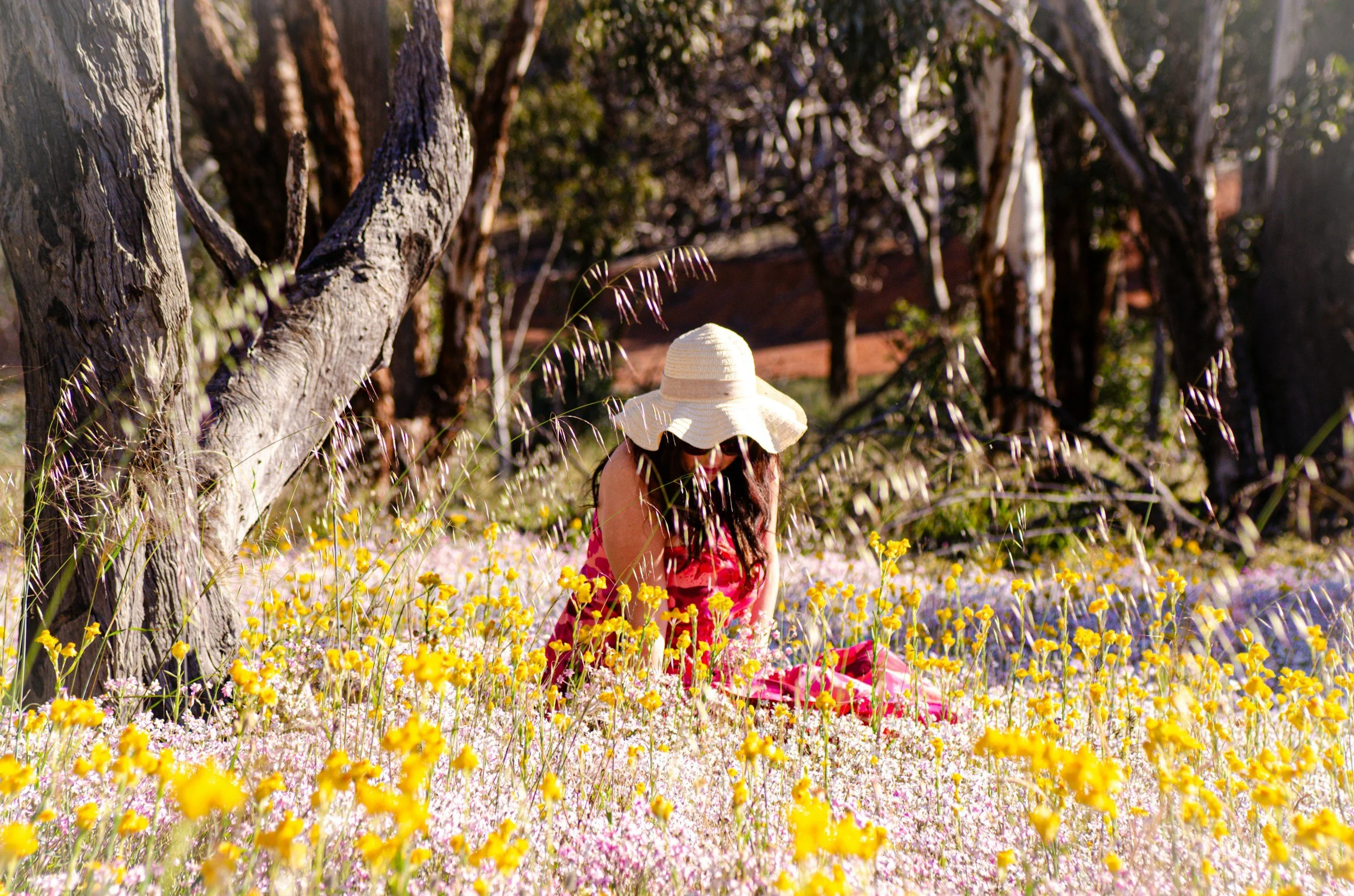 Nature's Medicine Cabinet: Your Complete Guide to Herbal Remedies for Outdoor Season