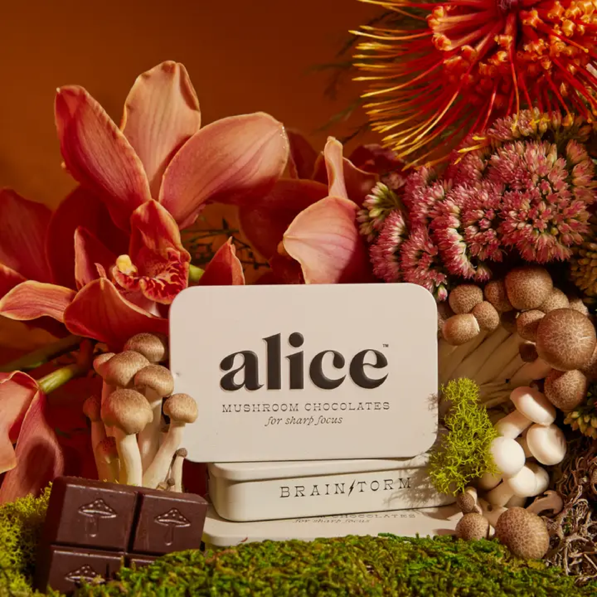 ALICE BRAINSTOMR CHOC TIN FLORAL113861fcd1c2250e3b42a1598be009fb1513f04e71b6a1f713bd2f1d24749ed6.png