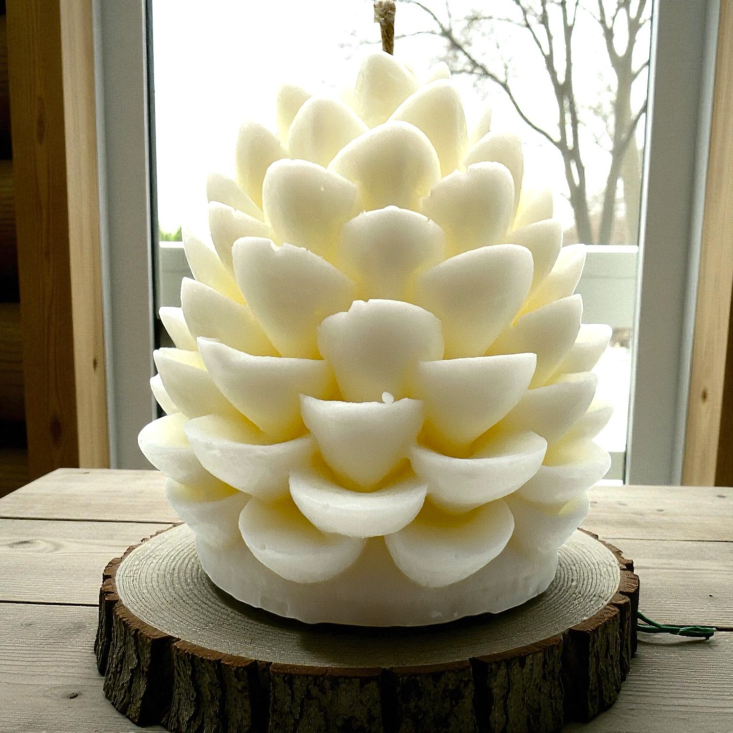 Photoroom_20251123_092259 (1).JPG