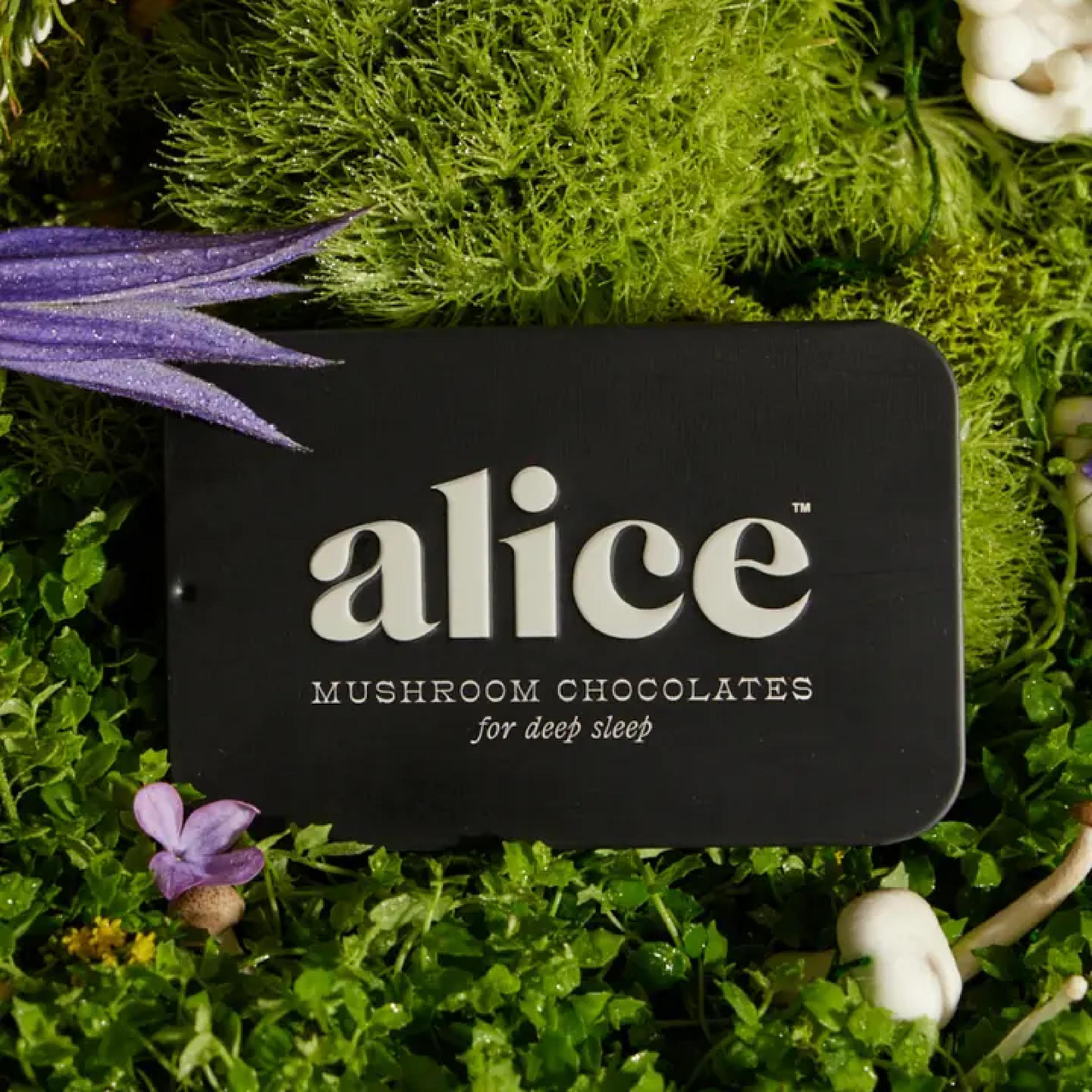 ALICE NIGHTTIME CHOC TIN 3dba8db6ab8f1297ac5de9af9d9f3d03ade5ed2464ce1920a877160261f9a325.png
