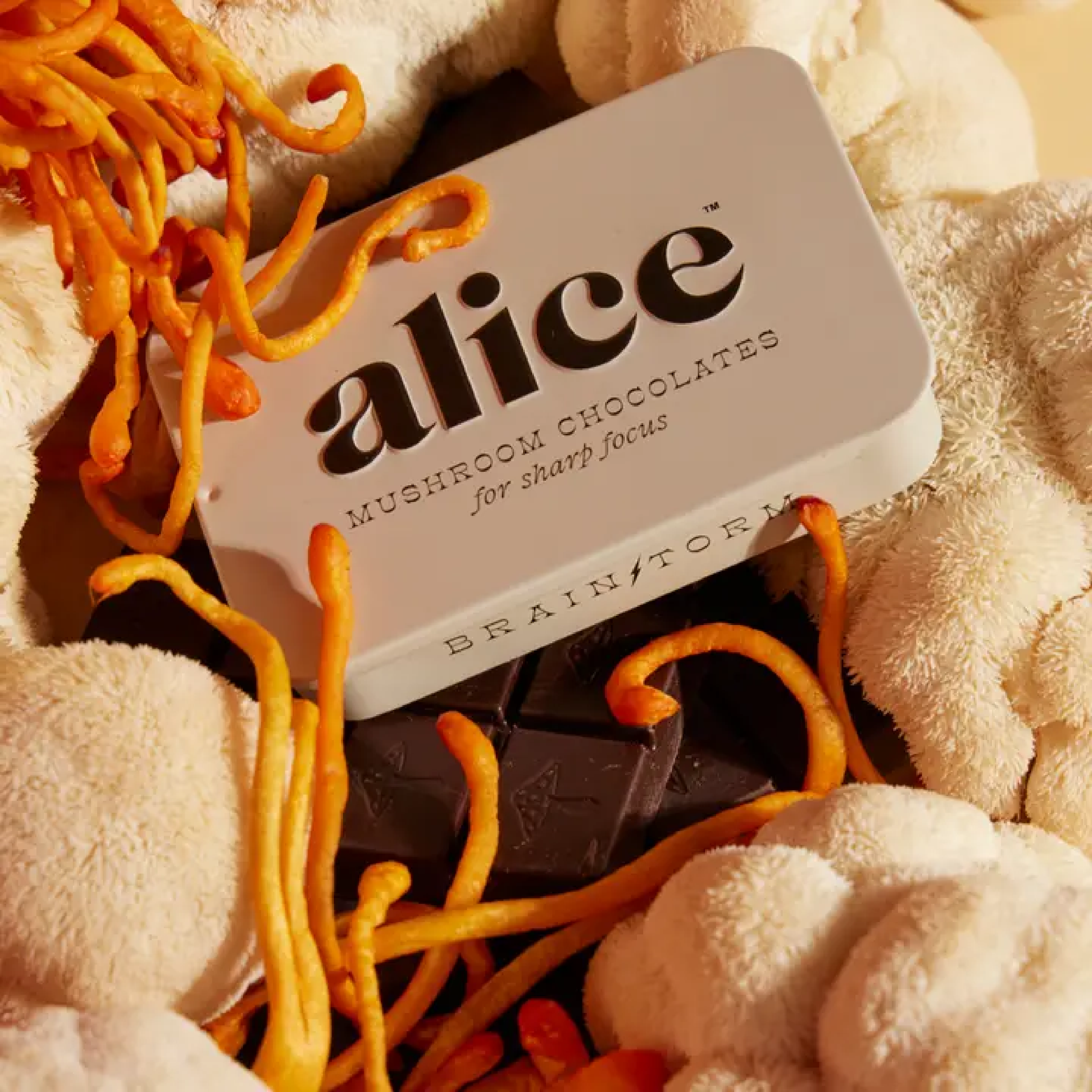 ALICE BRAINSTORM MUSHROOM PIC 23e3e477c117b218130740a323fddc158a1e718c0bb34e32db986ef88668bd1e.png