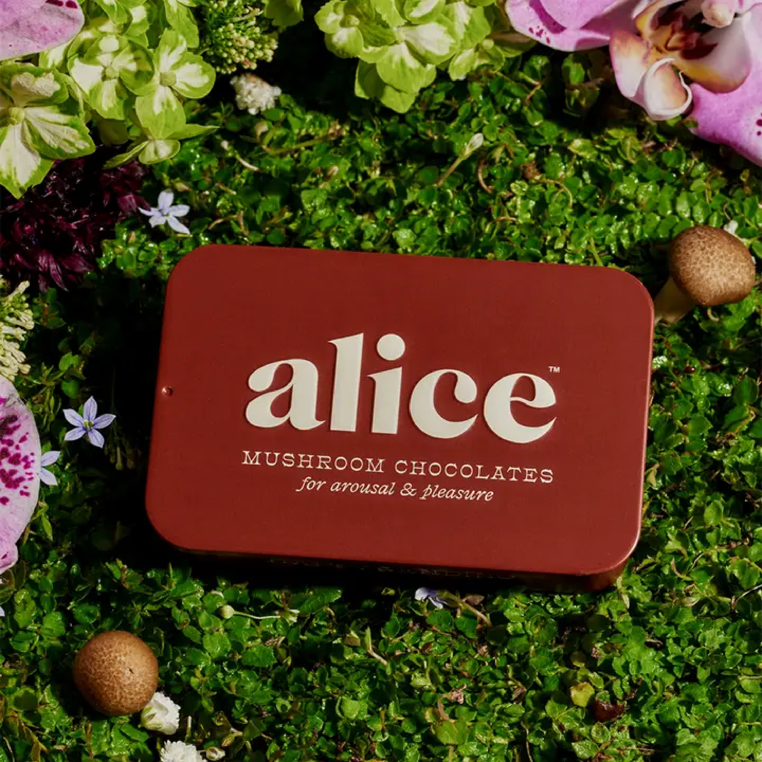 alice arousal ff0a07c155aafadf7db2a069f62cd16931d3a8222a5b89d0e0884ac70db6dd86.png