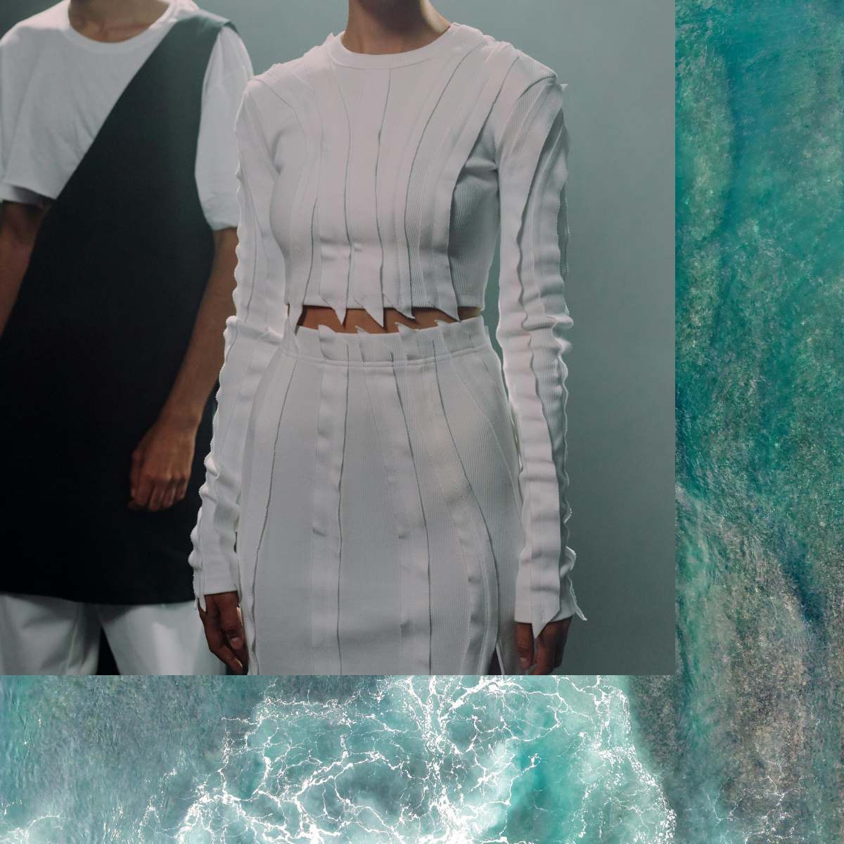 Black and white photo of palm leaf