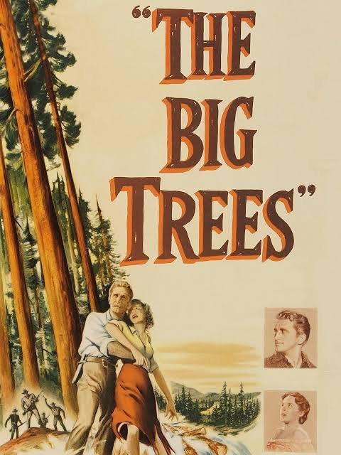 big trees.jpeg