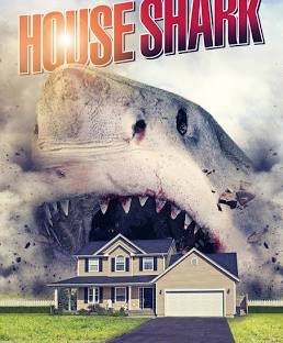 house shark.jpeg