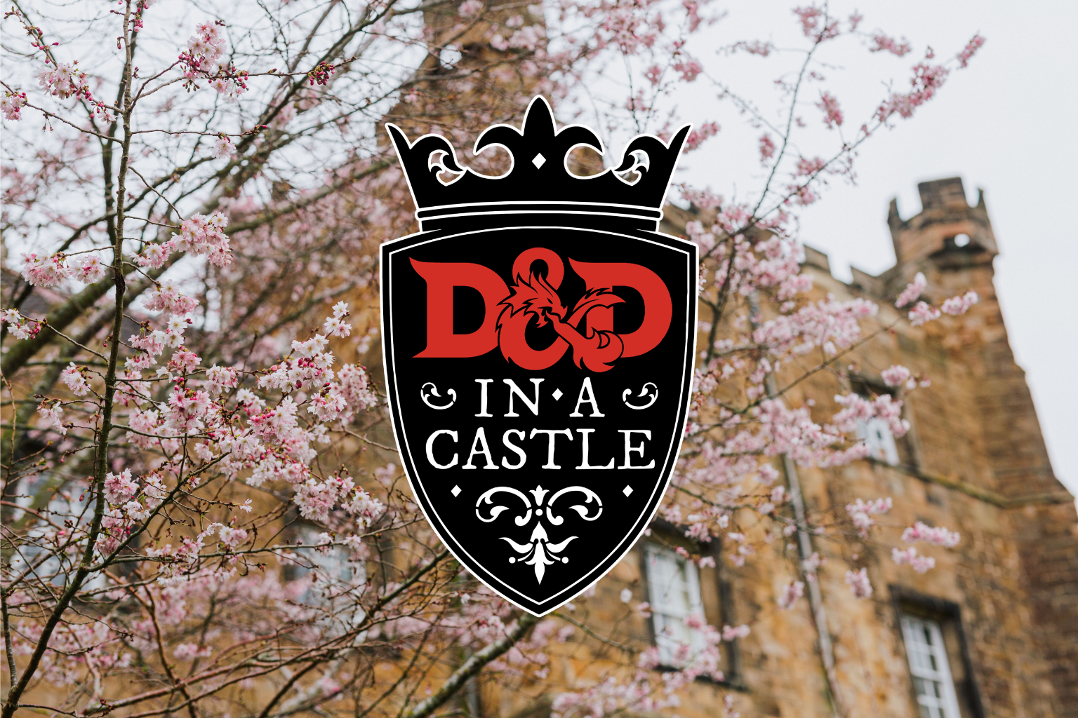 D&D in a Castle