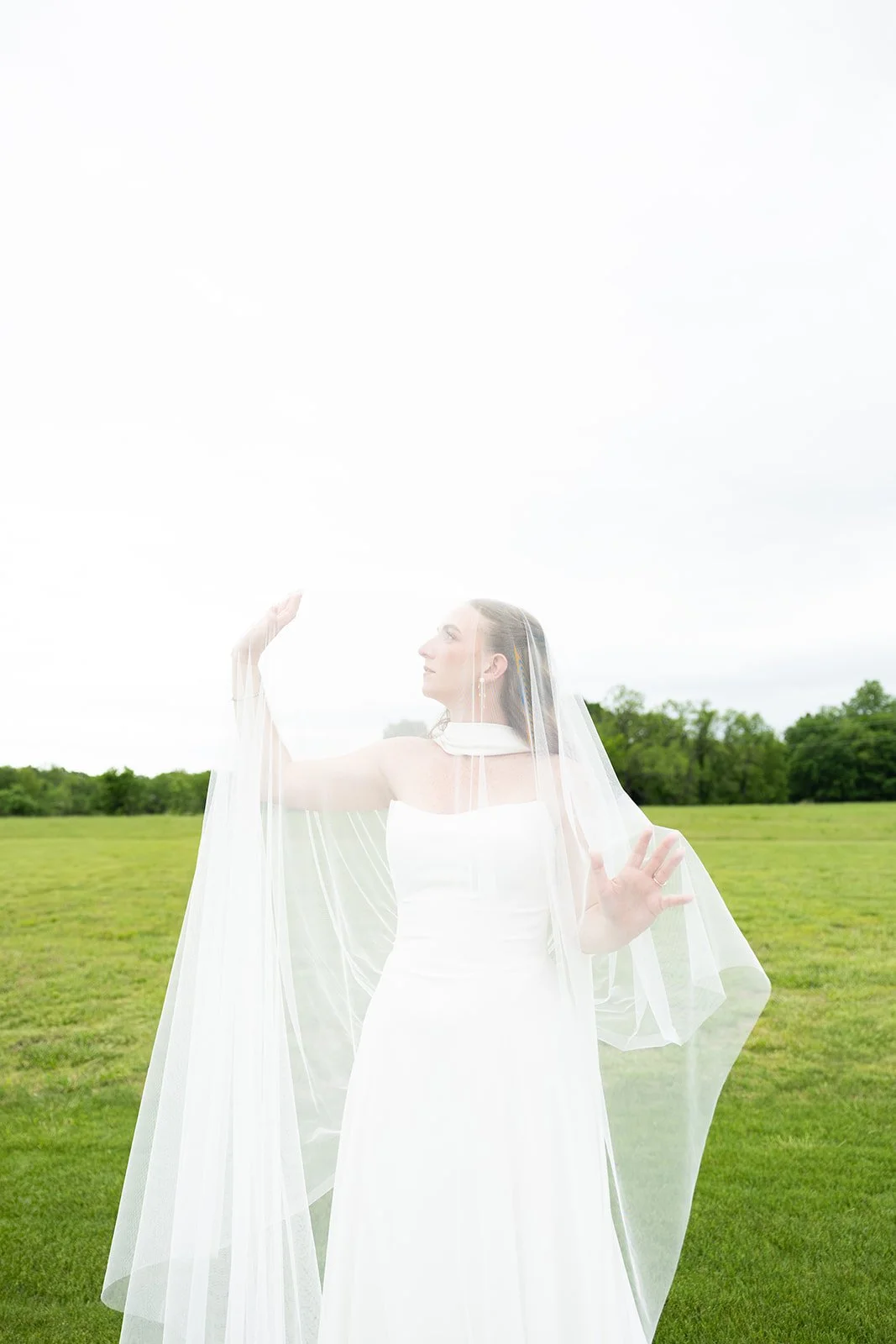  Elizabeth alone in the field, lifting her veil into the light 