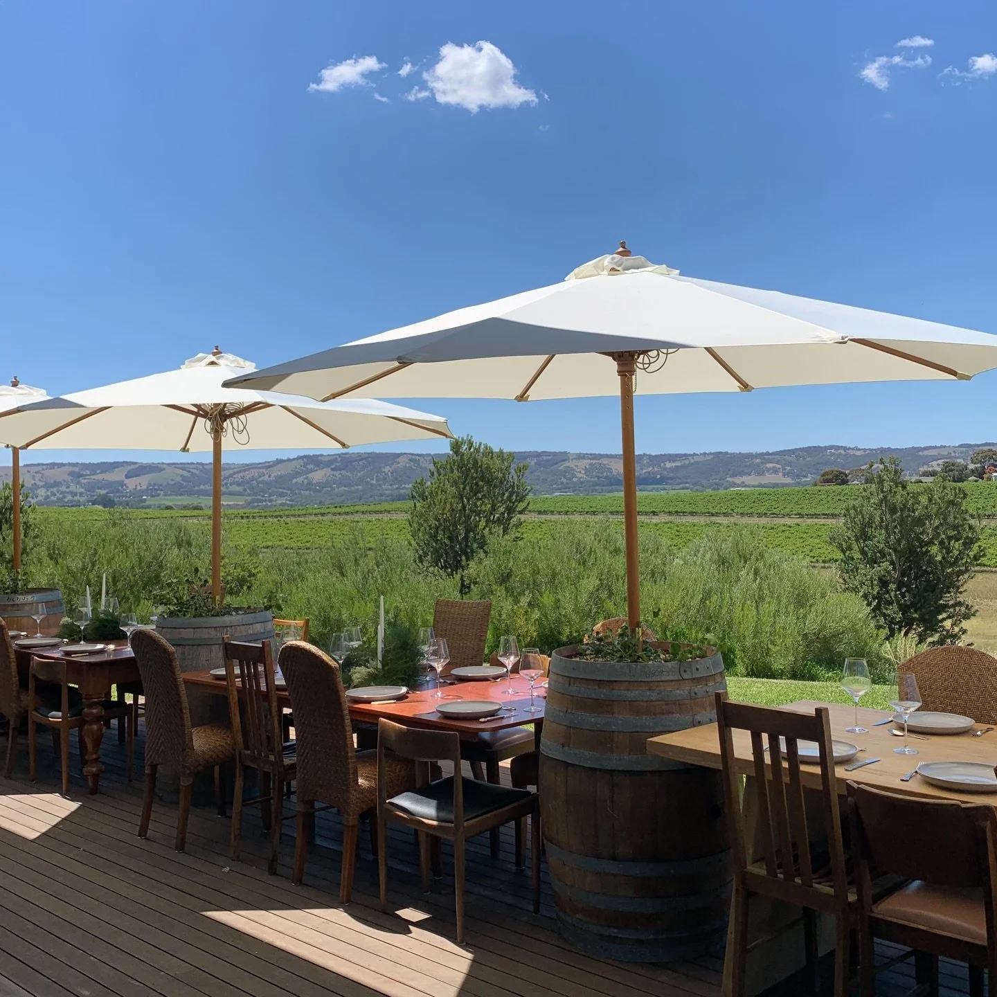 The season of dinner parties and leisurely long lunches is almost here.
Order your wines online by December 17th to ensure they arrive in time for Christmas. 🤍