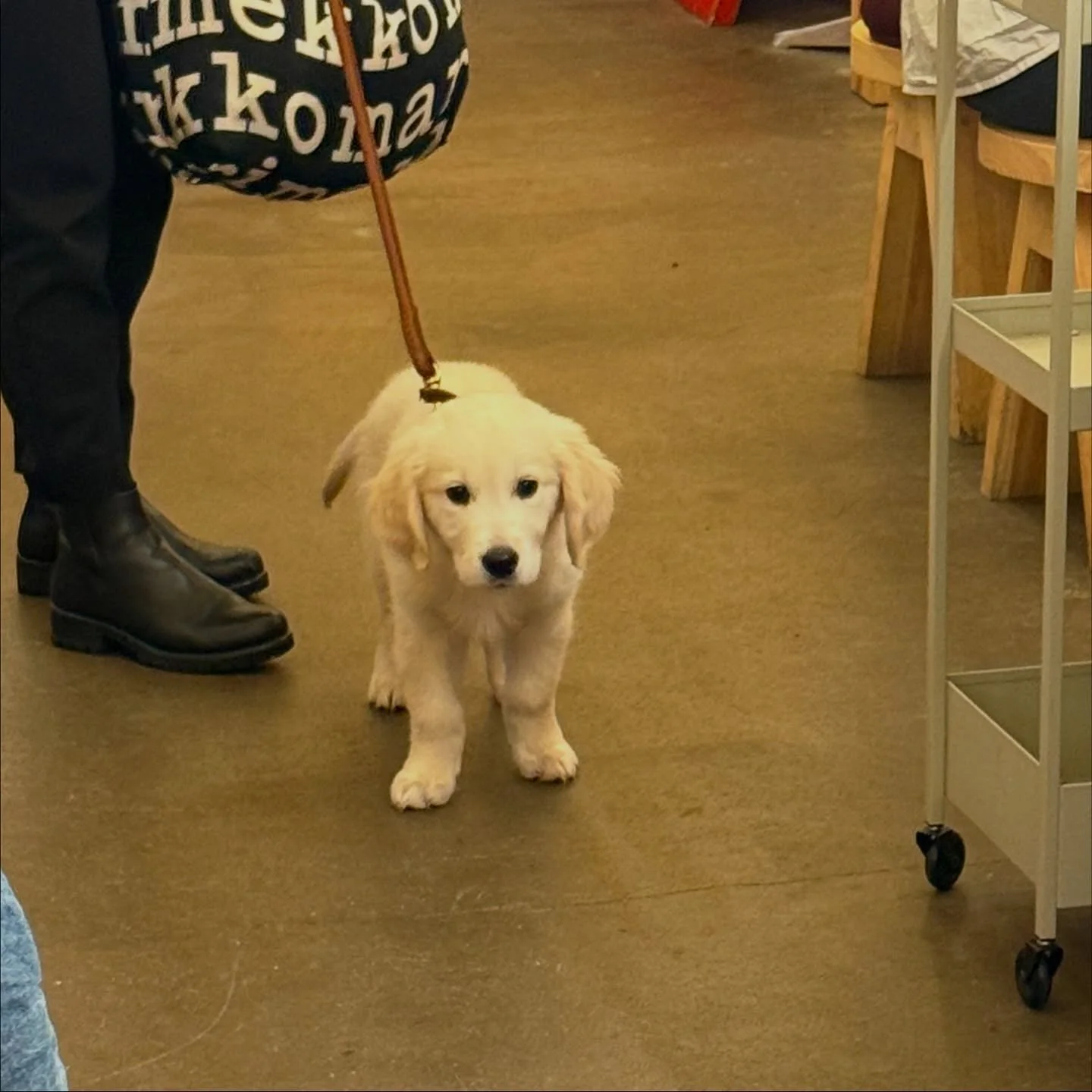 all the cute little things around 👀💕

#cafelife