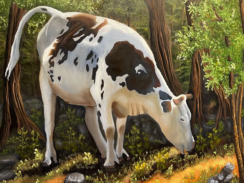 Angamuco-cow.jpg