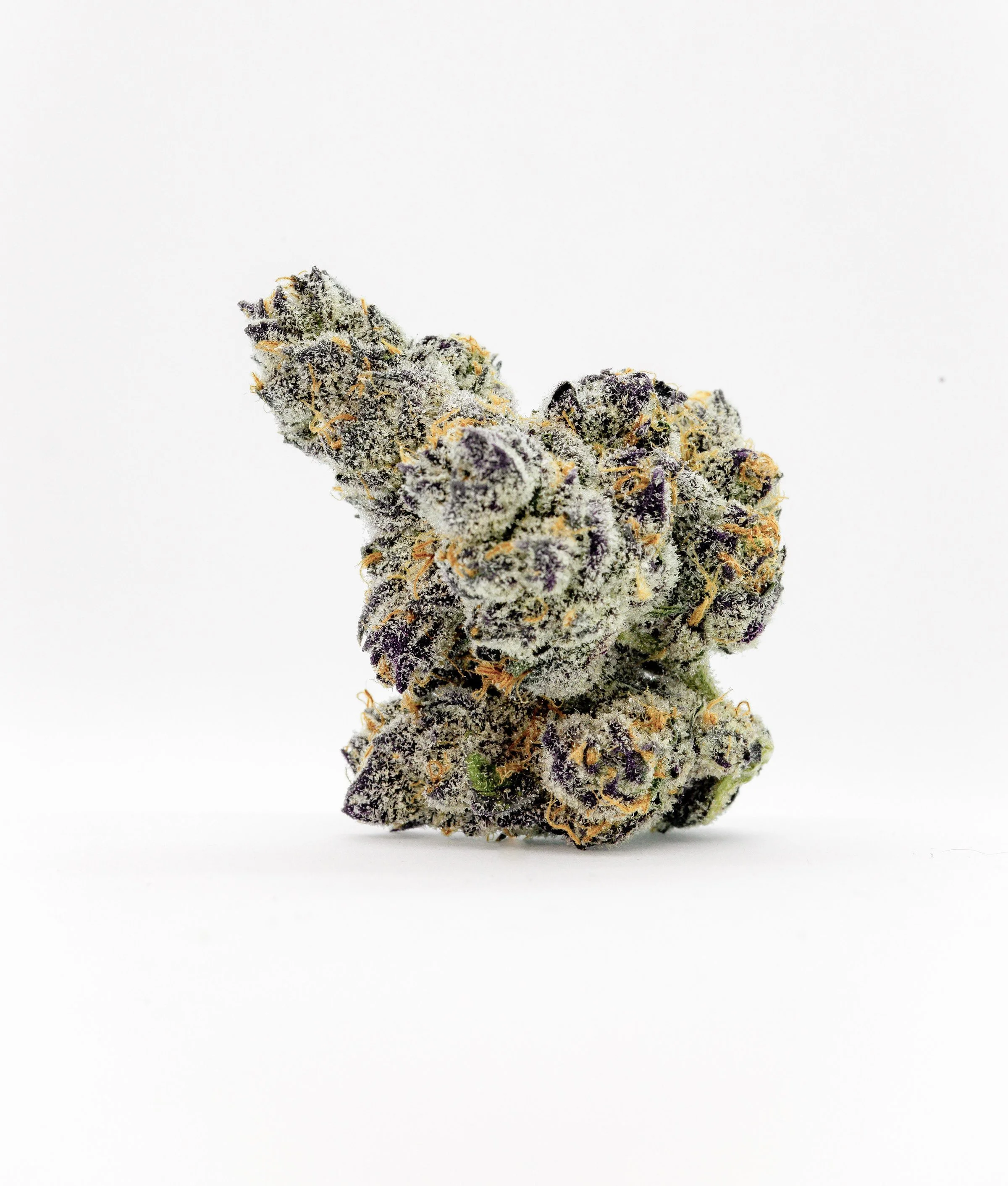 Apple Fritter