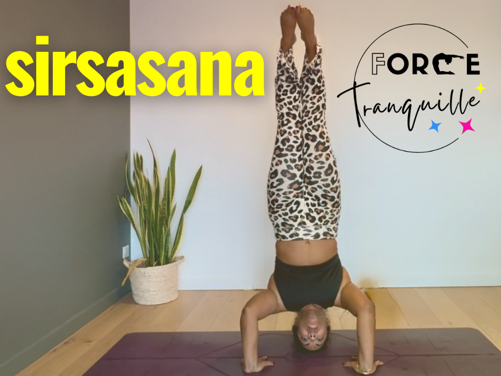 FORCE TRANQUILLE - Sirsasana